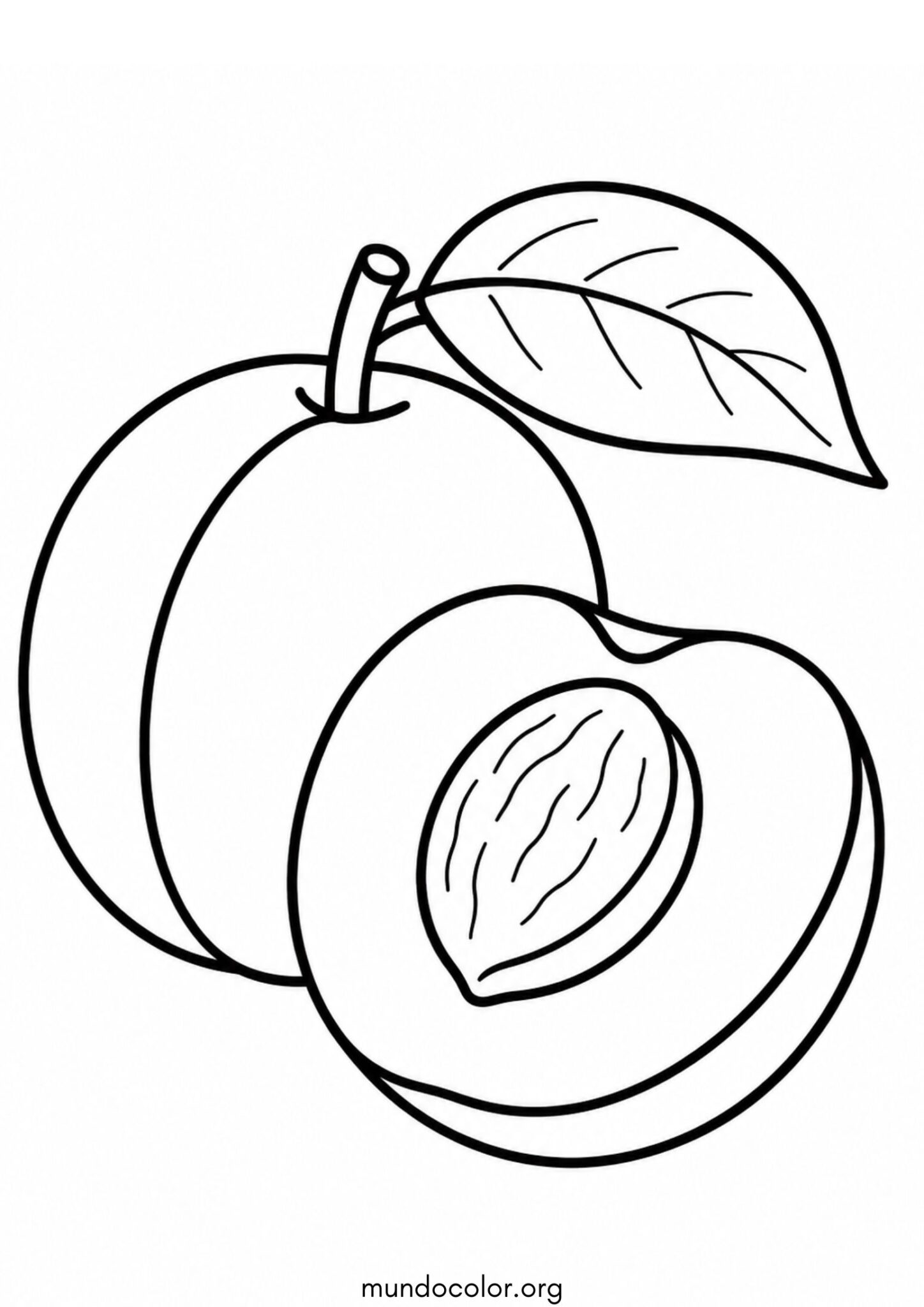 Dibujo de Albaricoque (Damasco) para colorear