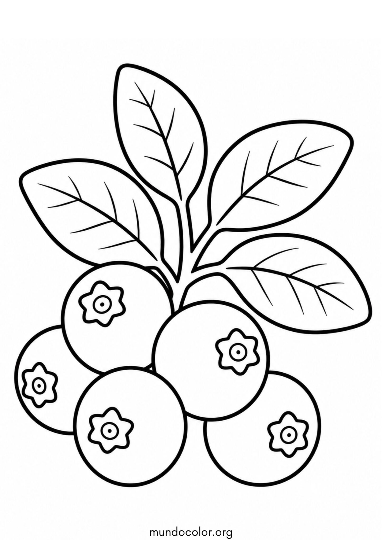 Dibujo de Arándanos para colorear