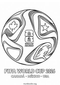 Balón del Mundial