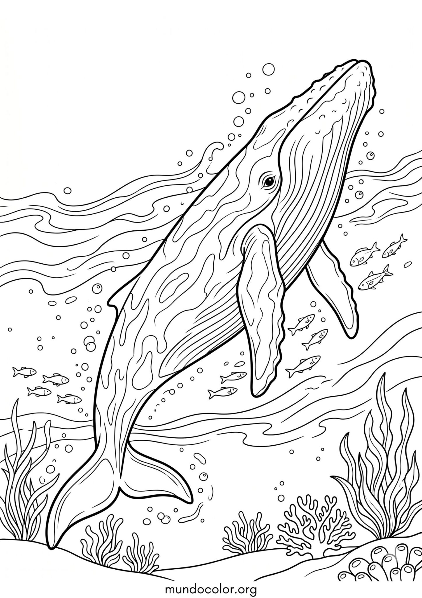Dibujo de Ballena azul para colorear