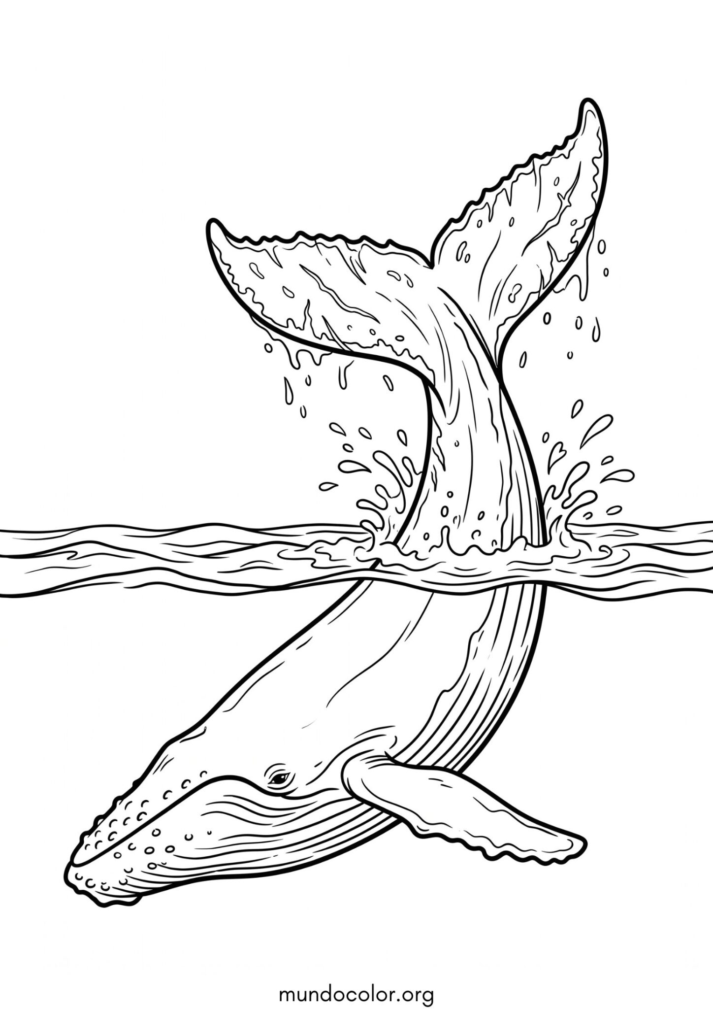 Dibujo de Ballena jorobada para colorear