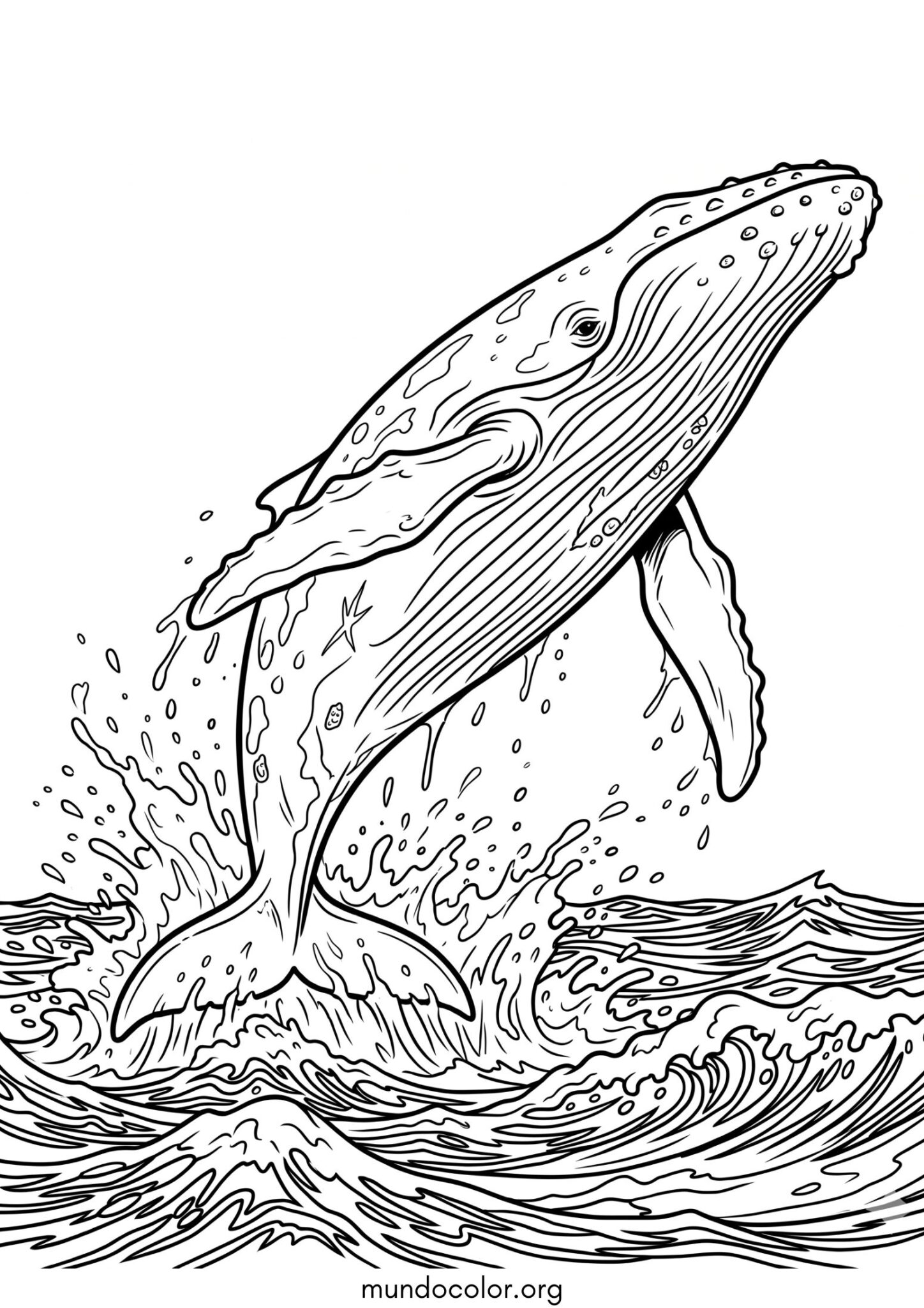 Dibujo de Ballena saltando fuera del agua para colorear