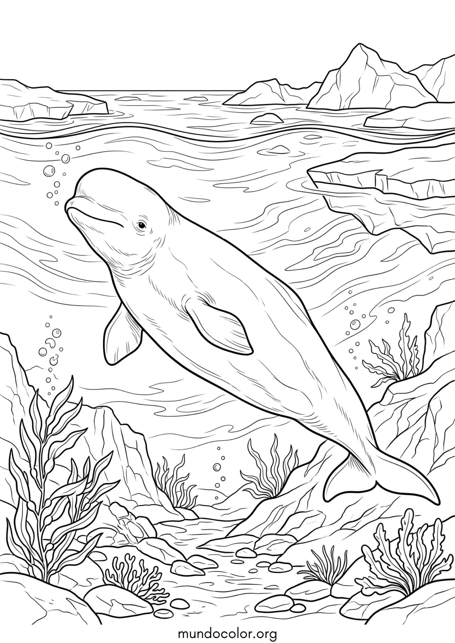 Dibujo de Beluga para colorear