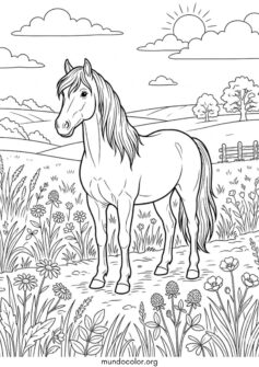 Caballo en el campo