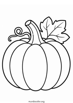 Calabaza 🎃