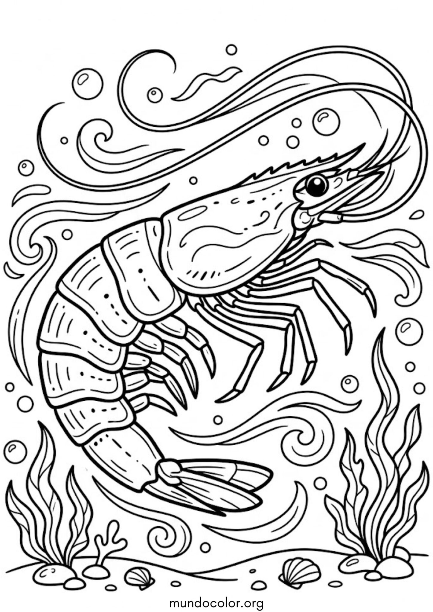 Dibujo de Camarón para colorear