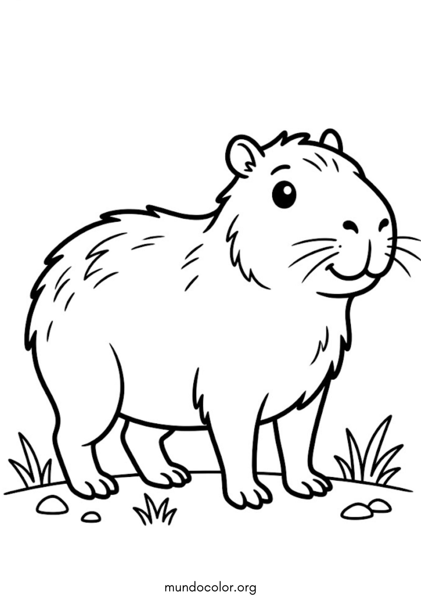 Dibujo de Capibara fácil para niños para colorear