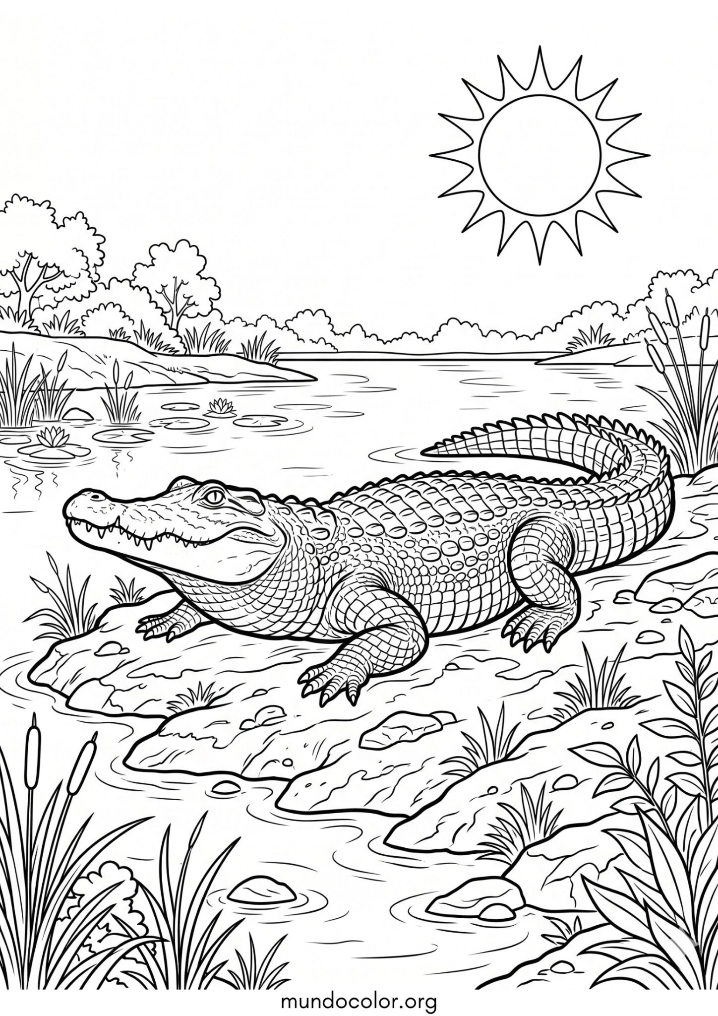 Dibujo de Cocodrilo tomando el sol para colorear