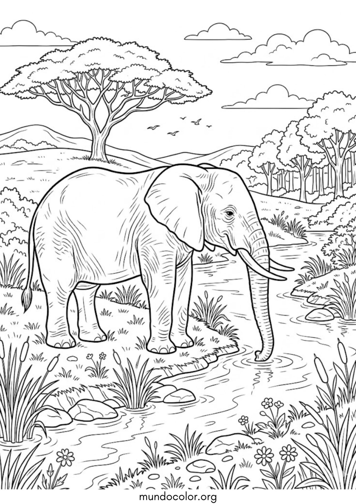 Dibujo de Elefante en el río para imprimir Dibujo de Elefante en el río para colorear