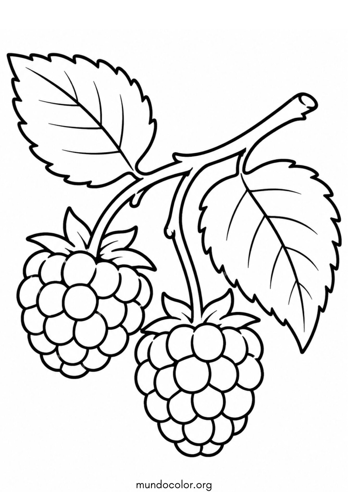 Dibujo de Frambuesas para colorear