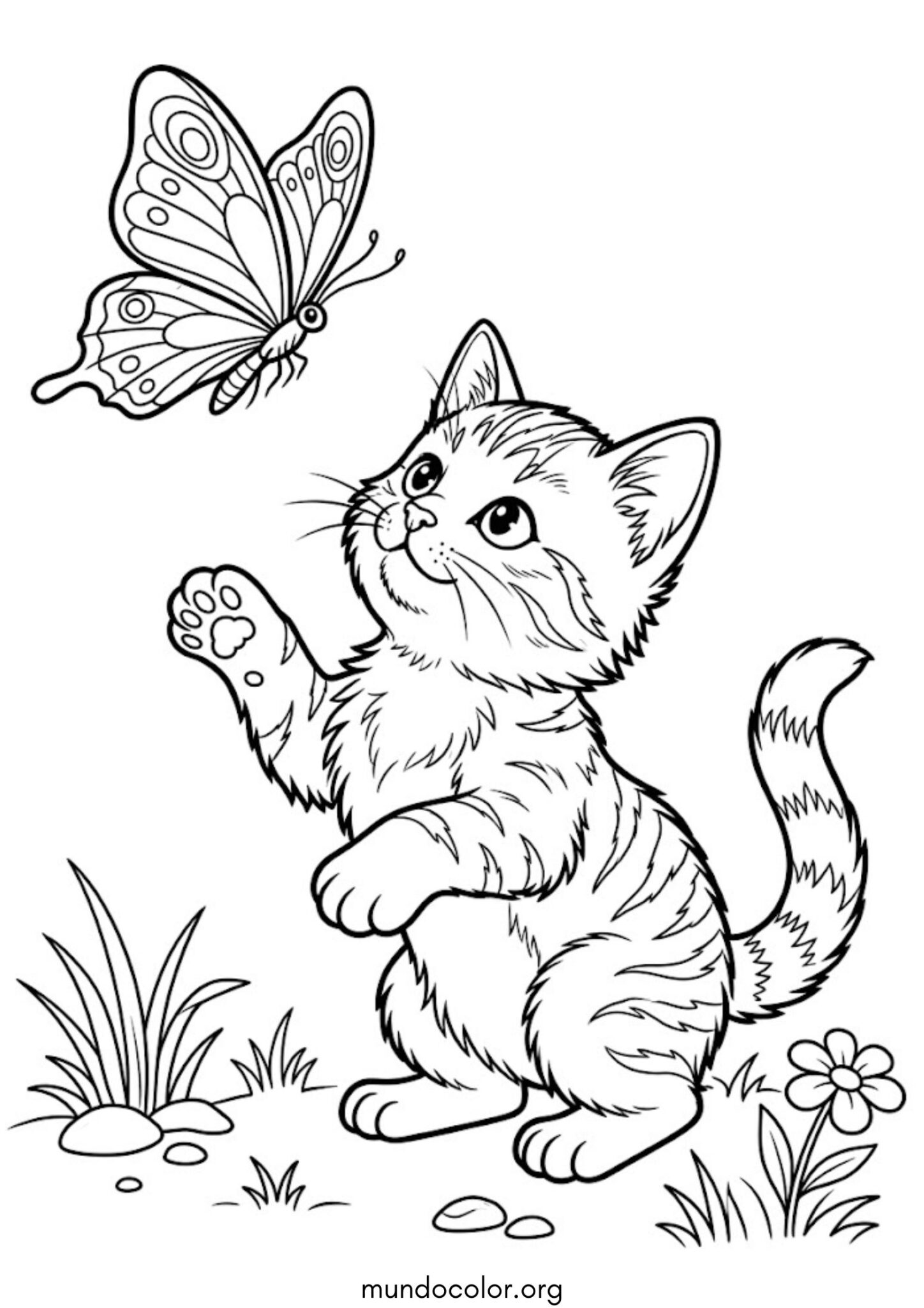 Dibujo de Gatito y mariposa para colorear