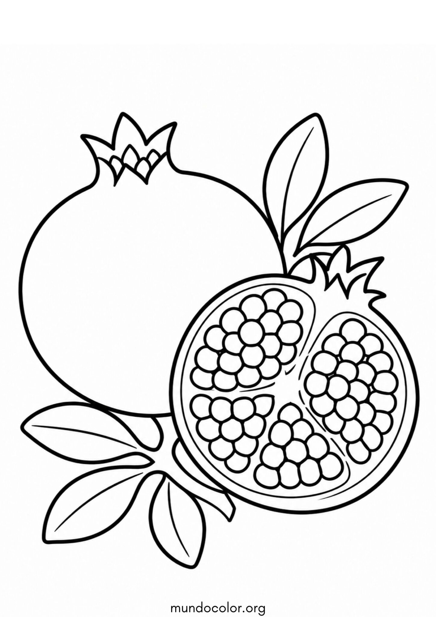 Dibujo de Granada para colorear