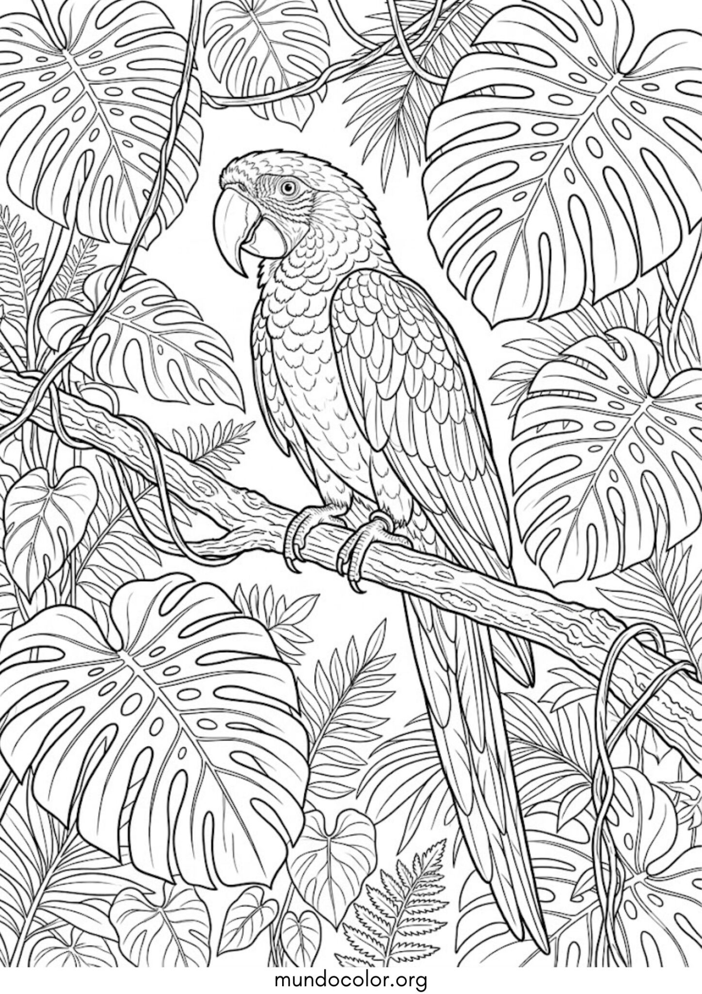Dibujo de Loro en la selva tropical para colorear