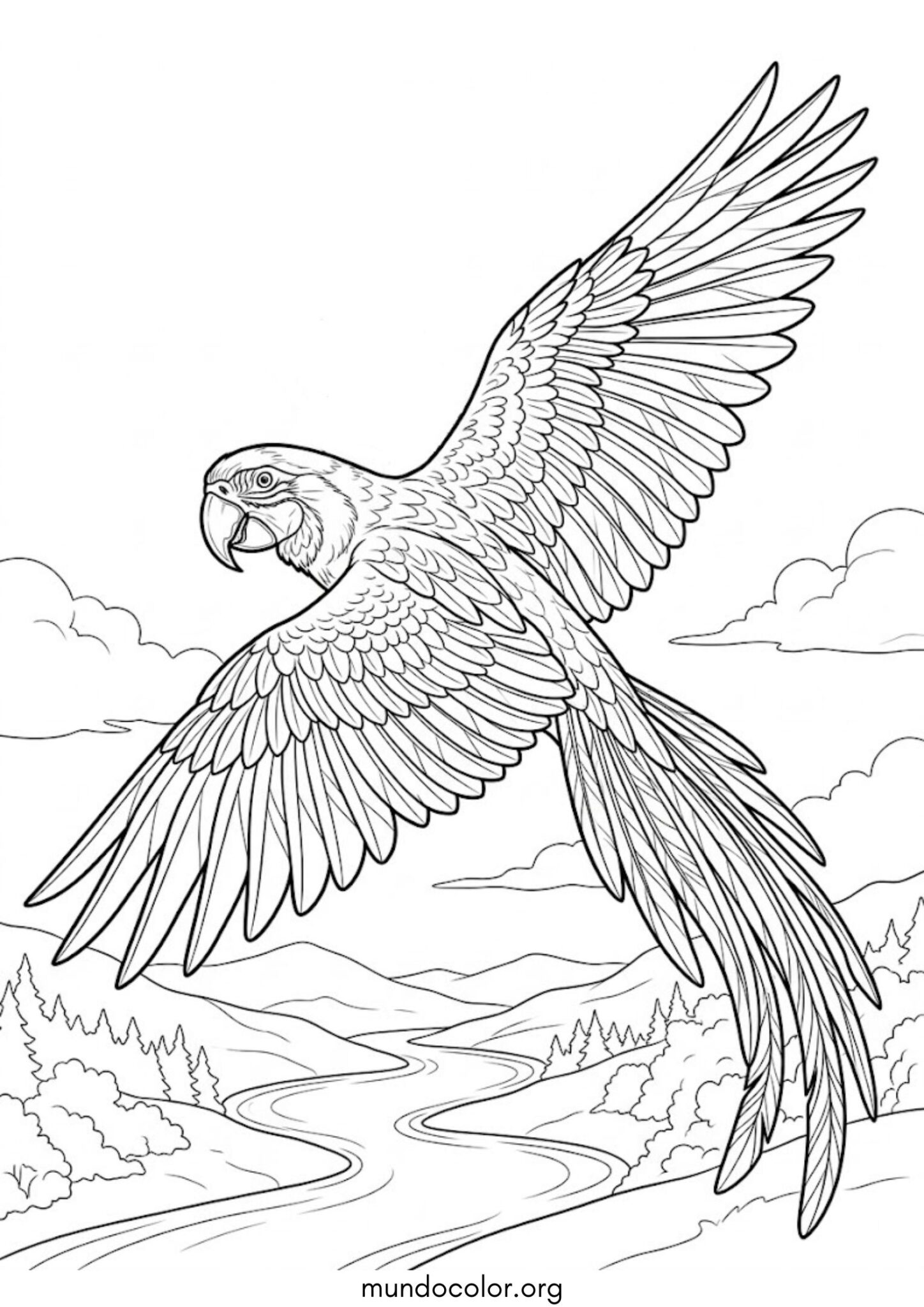 Dibujo de Loro volando para colorear