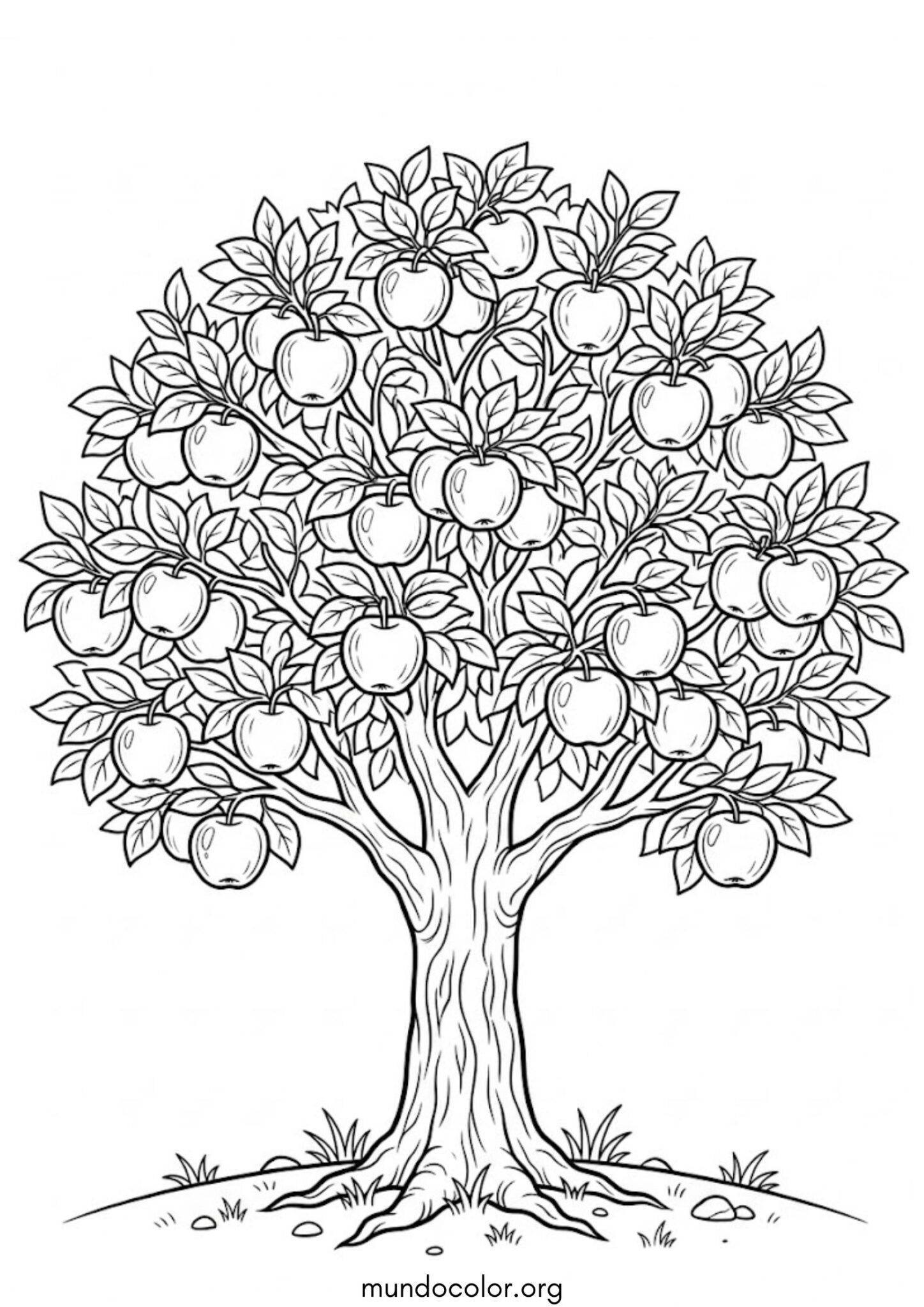 Dibujo de Manzano para colorear