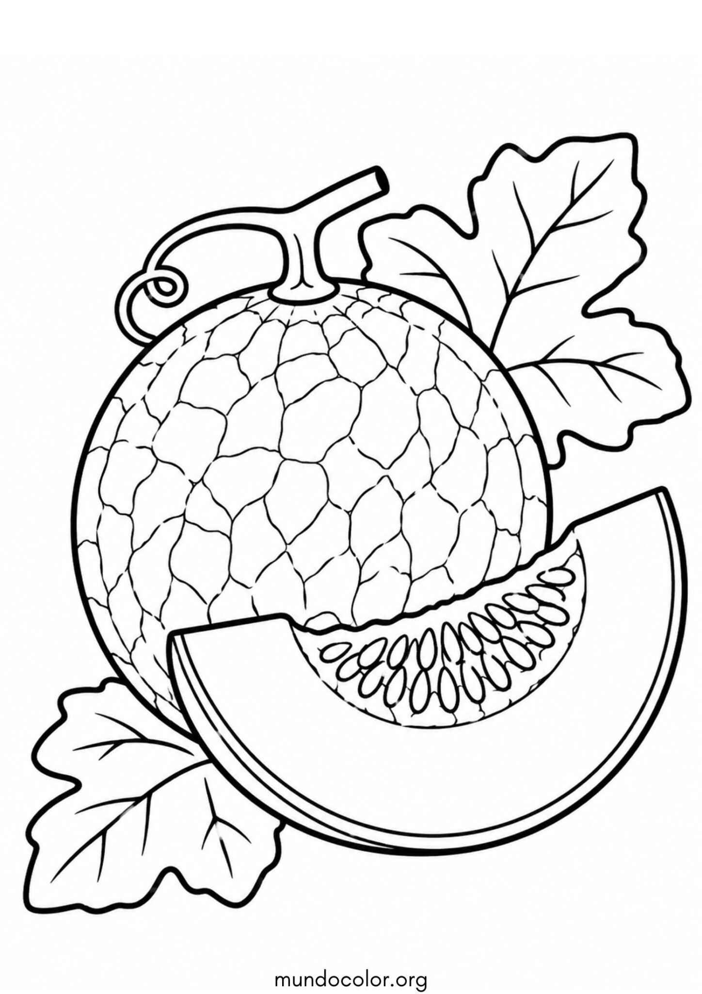 Dibujo de Melón 🍈 para colorear