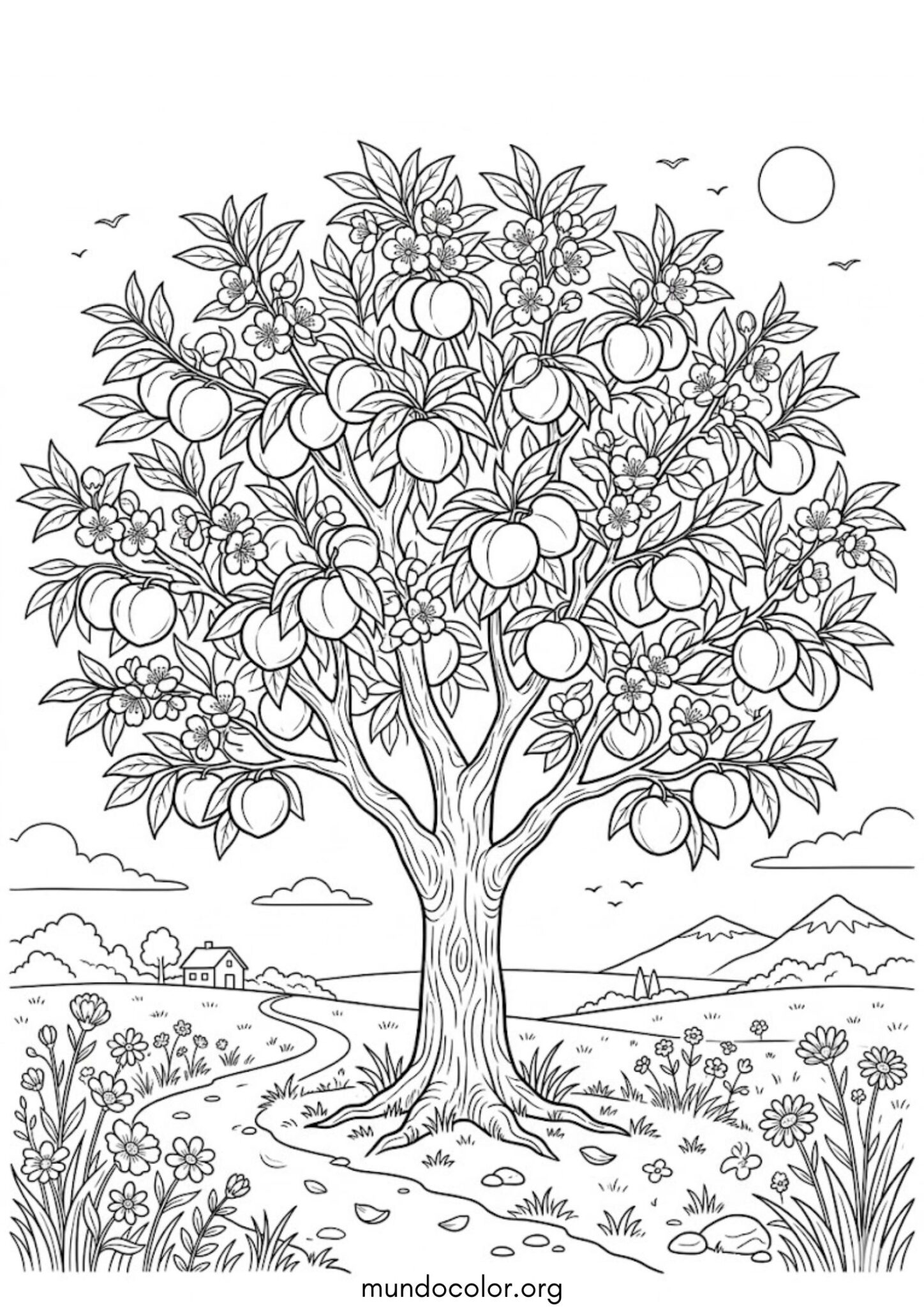 Dibujo de Melocotonero para colorear