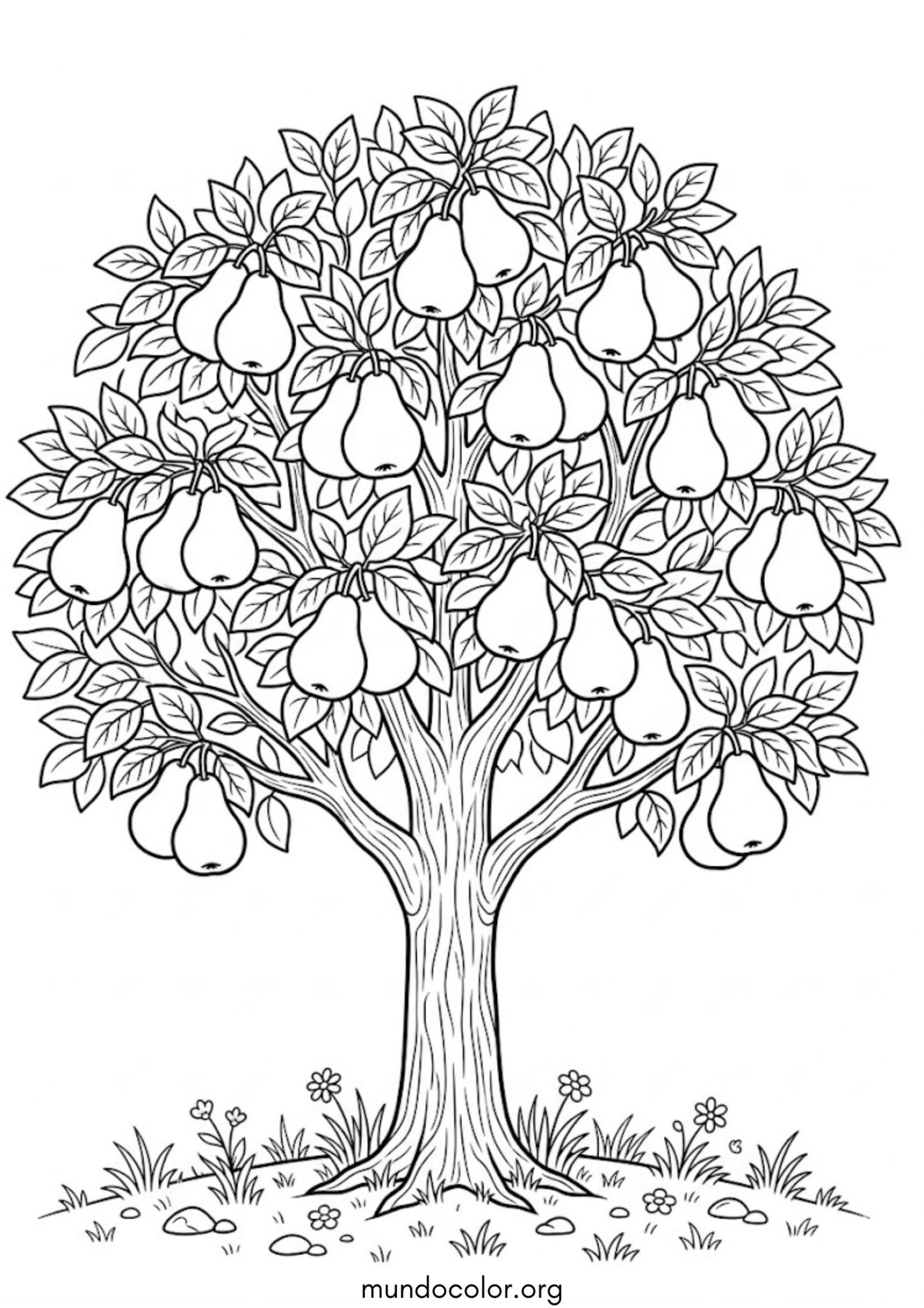 Dibujo de Peral para colorear