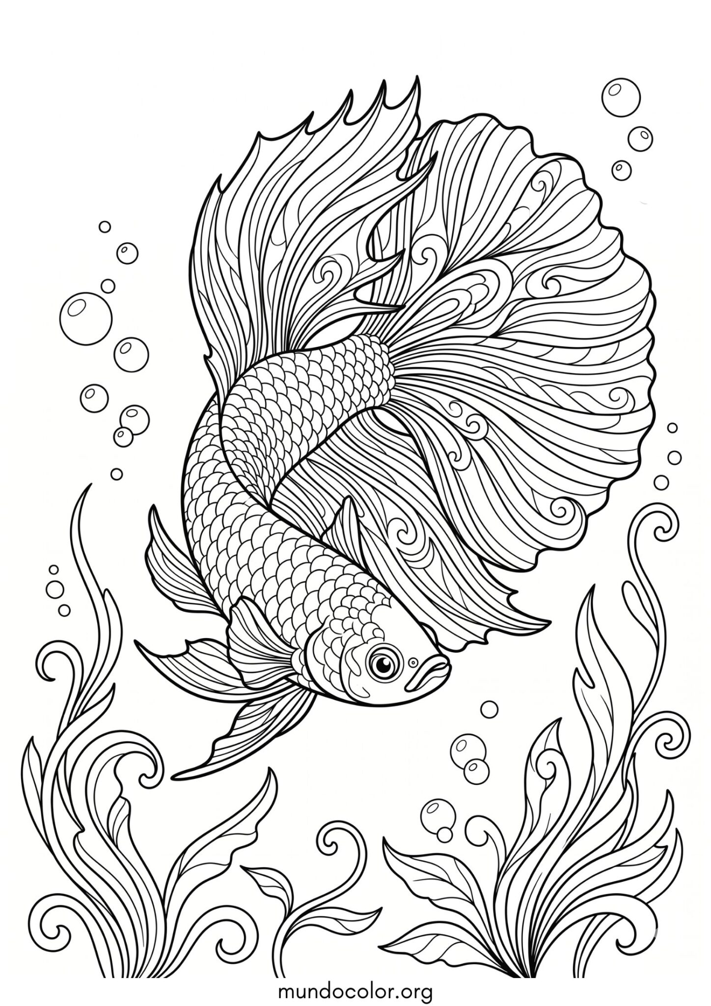Dibujo de Pez beta para colorear