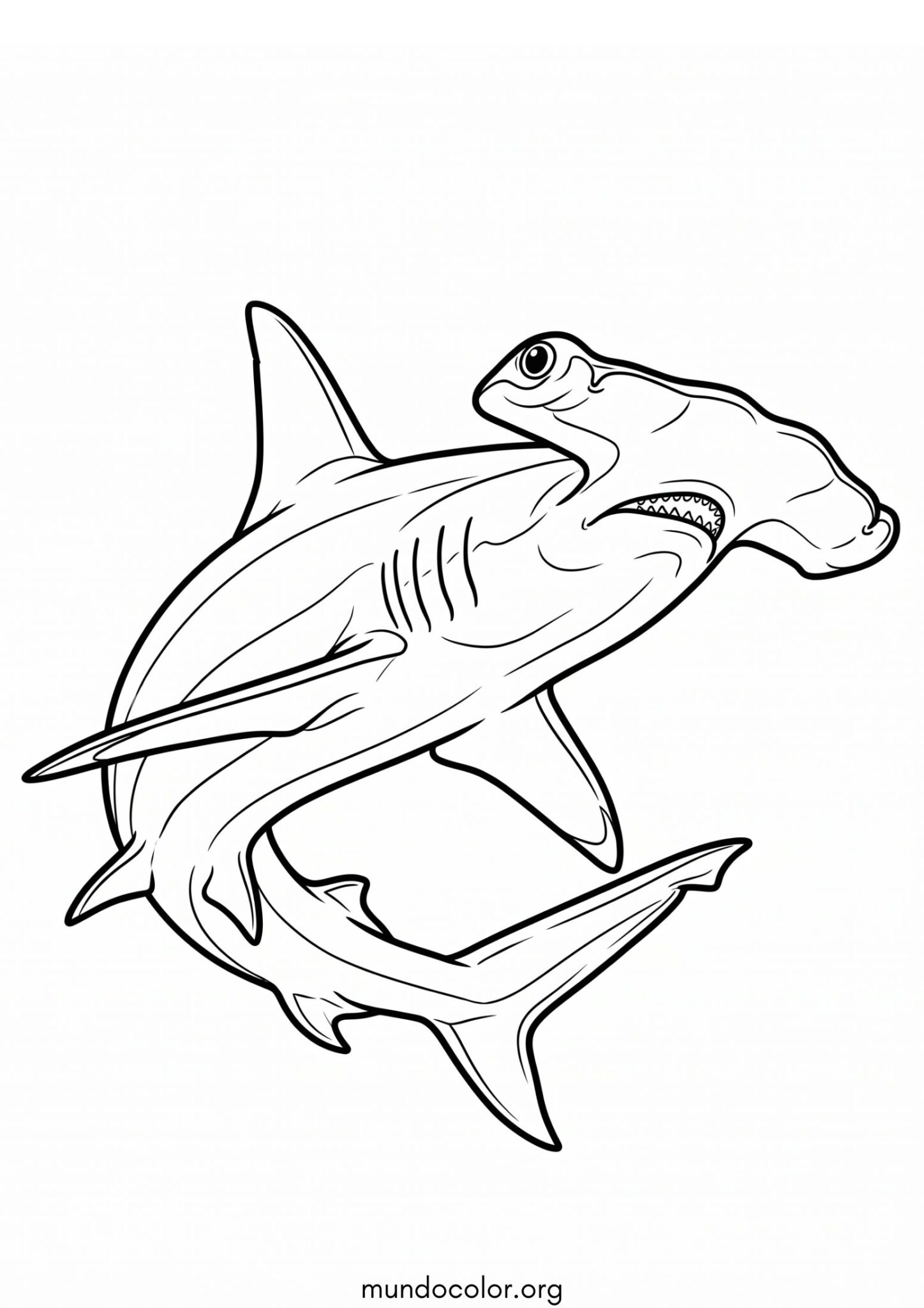 Dibujo de Pez martillo para colorear