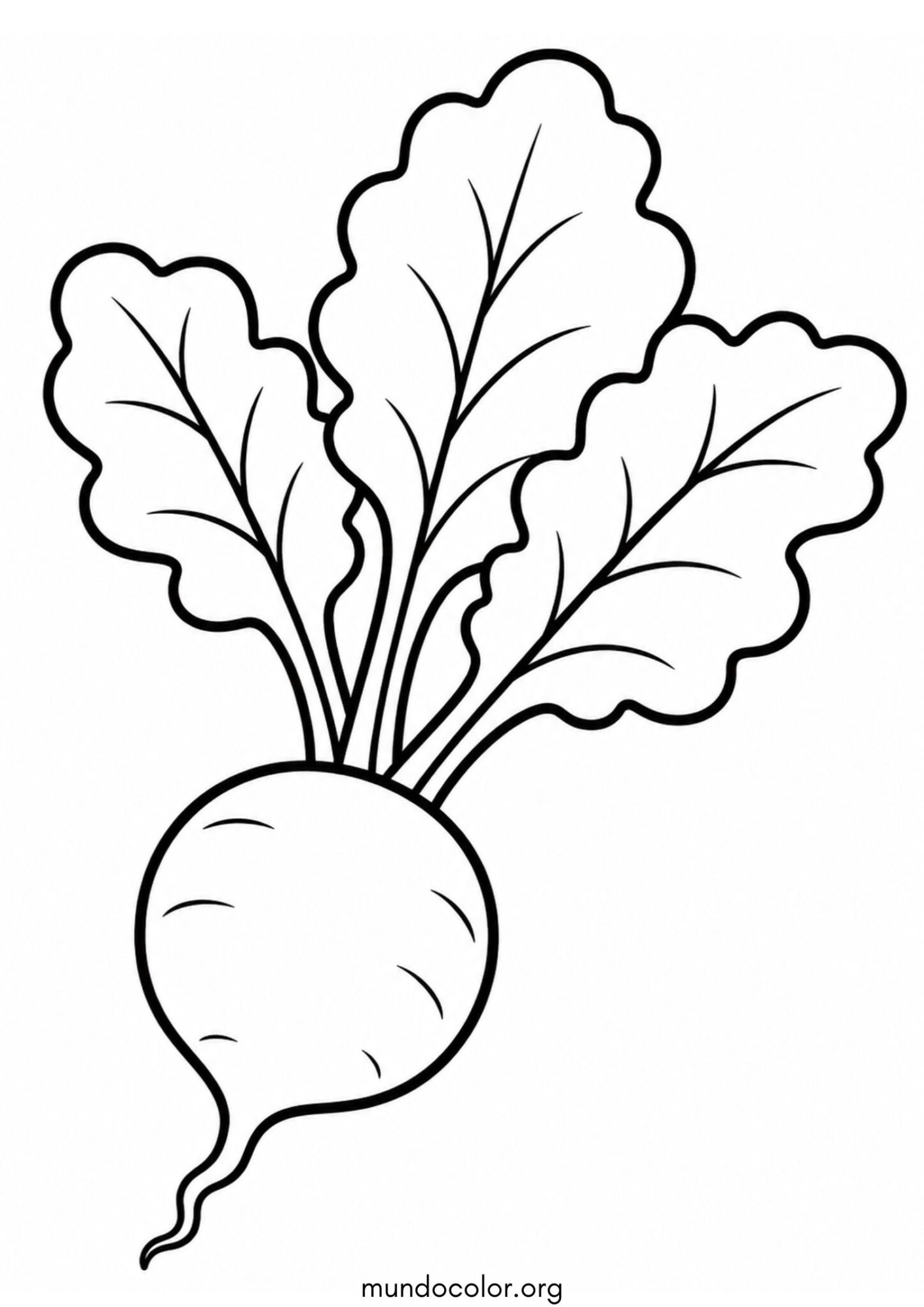 Dibujo de Rábano para colorear