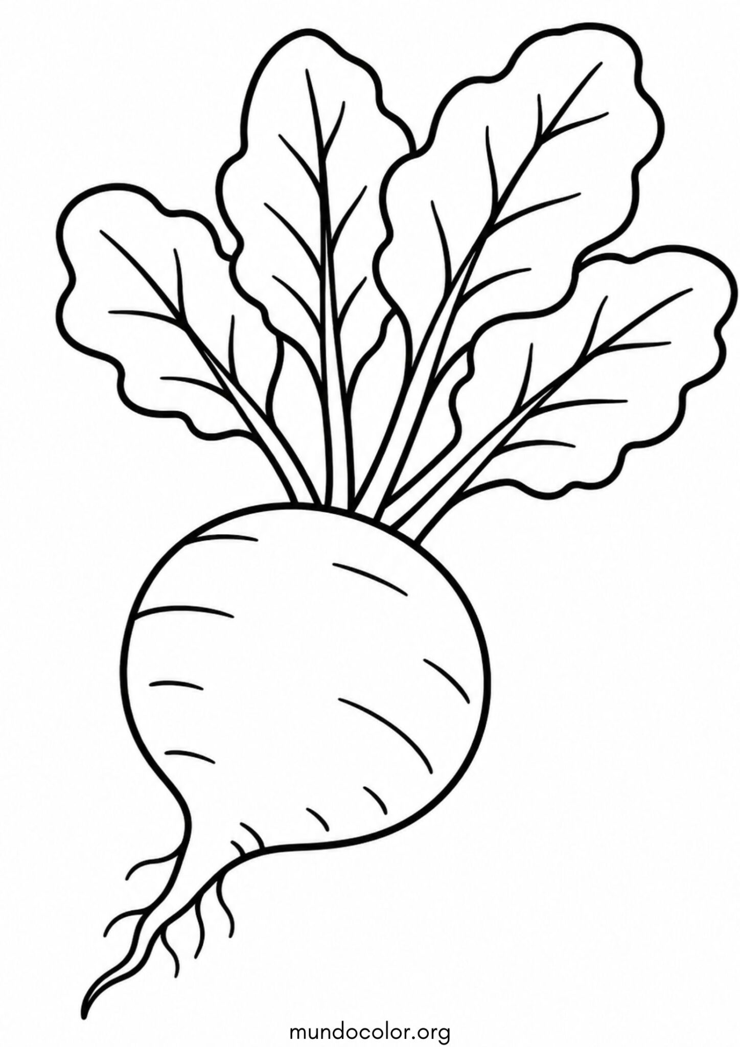 Dibujo de Remolacha para colorear