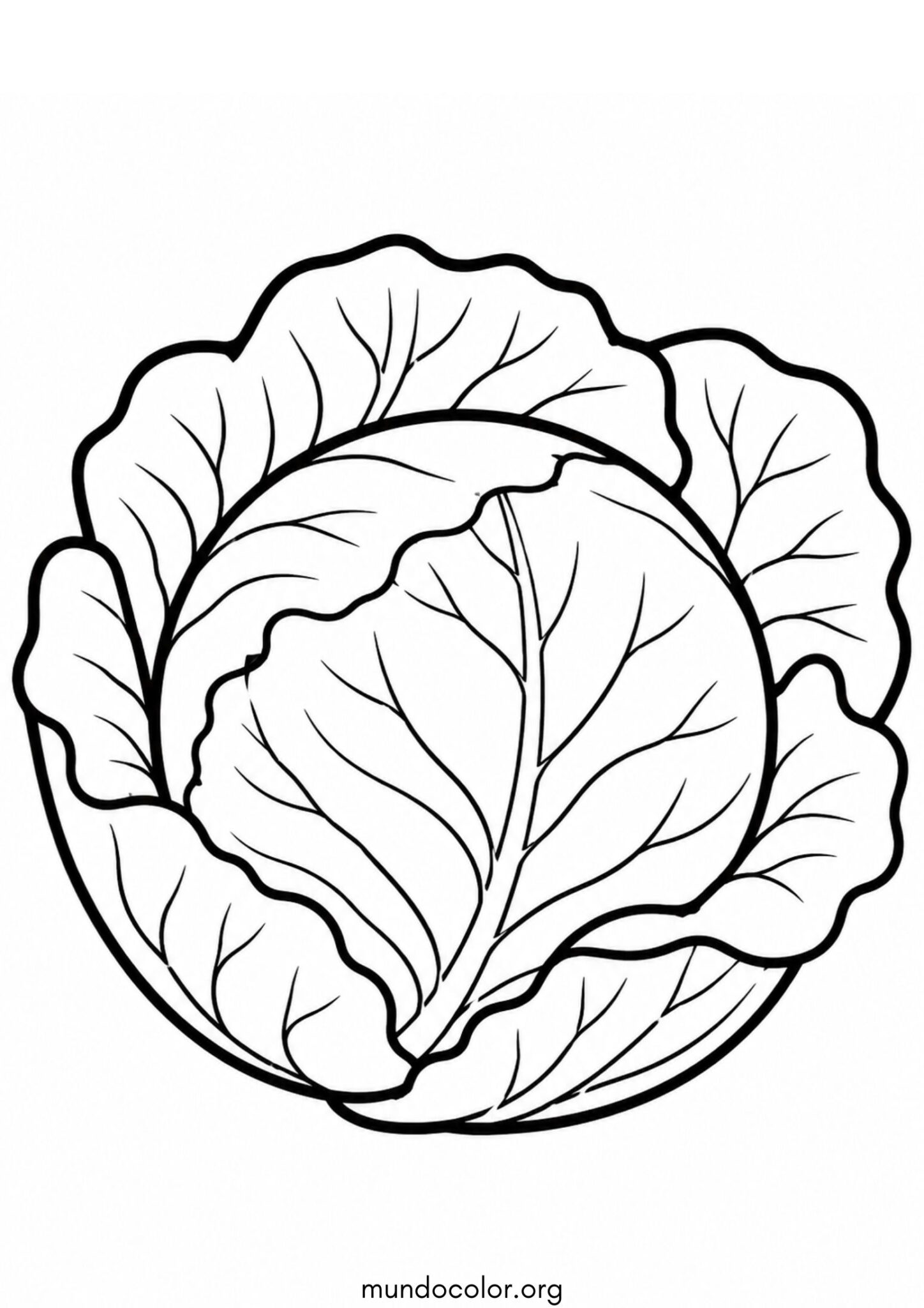 Dibujo de Repollo para colorear