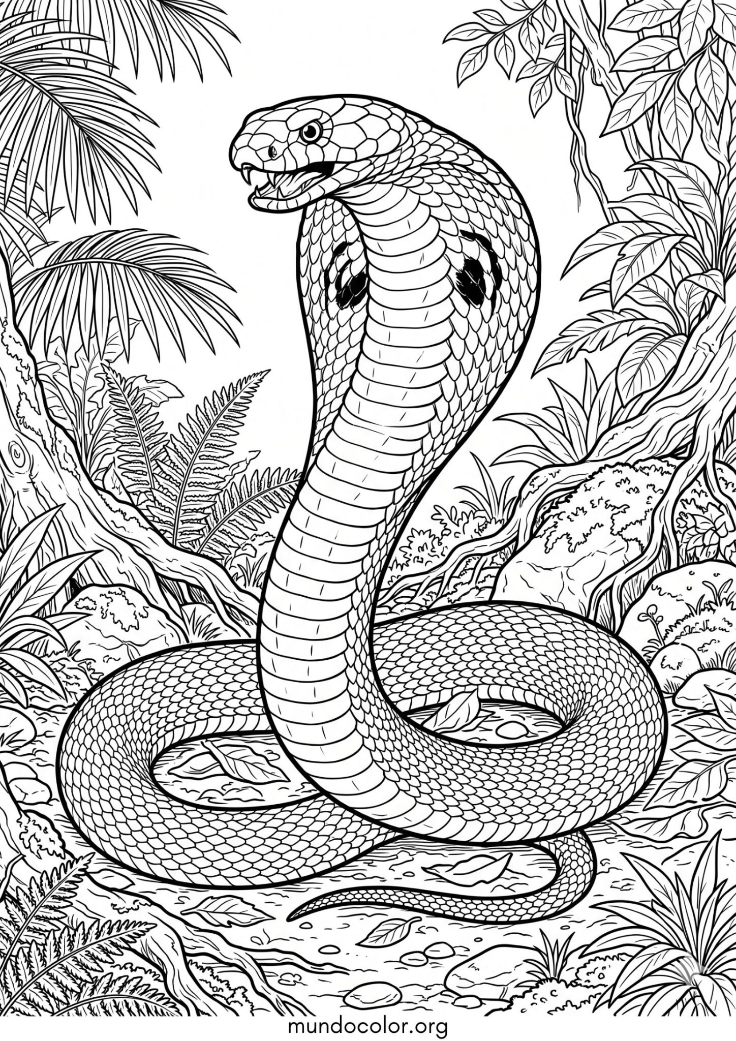 Dibujo de Serpiente cobra para colorear