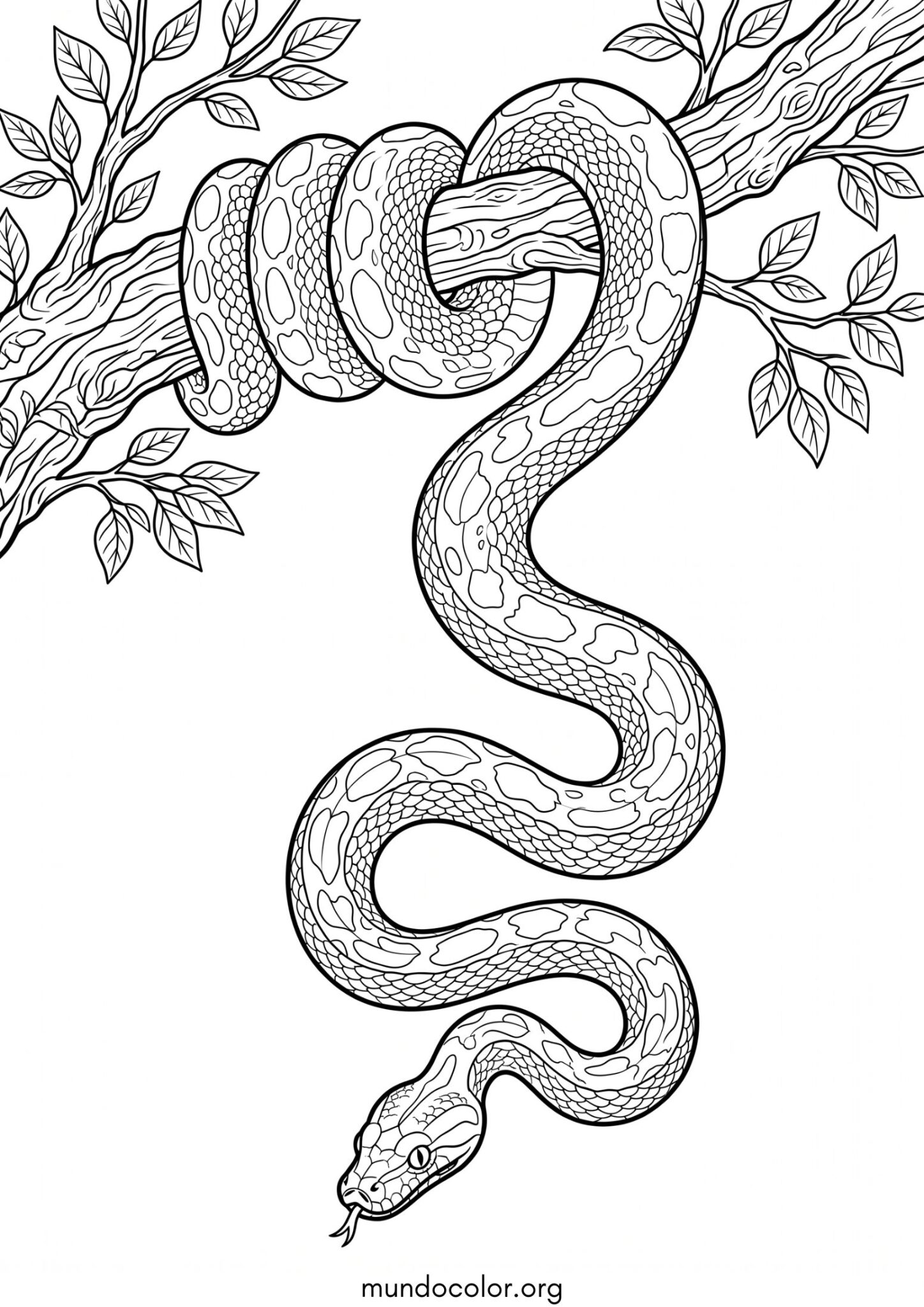 Dibujo de Serpiente enroscada en una rama para colorear