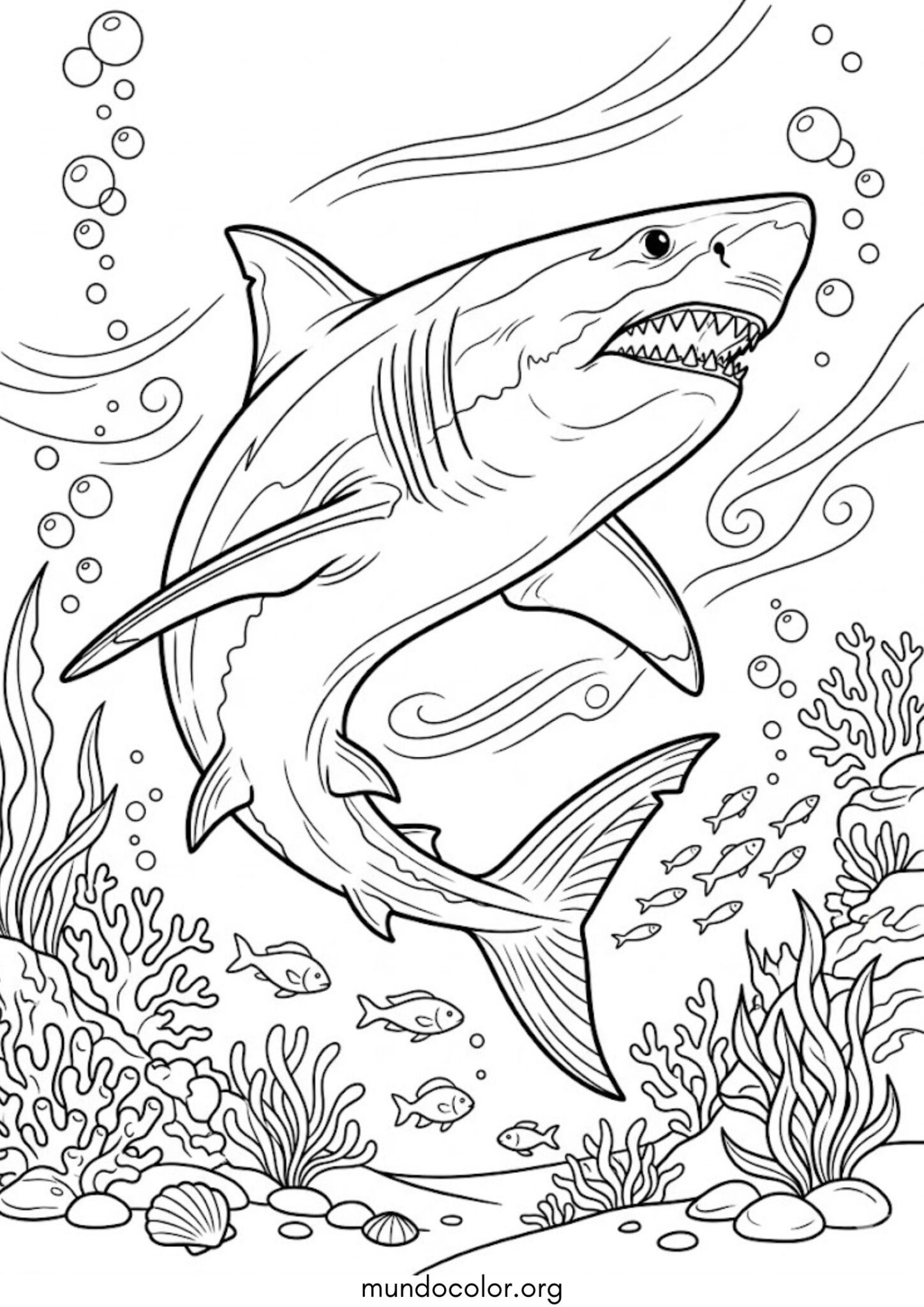 Dibujo de Tiburón para colorear