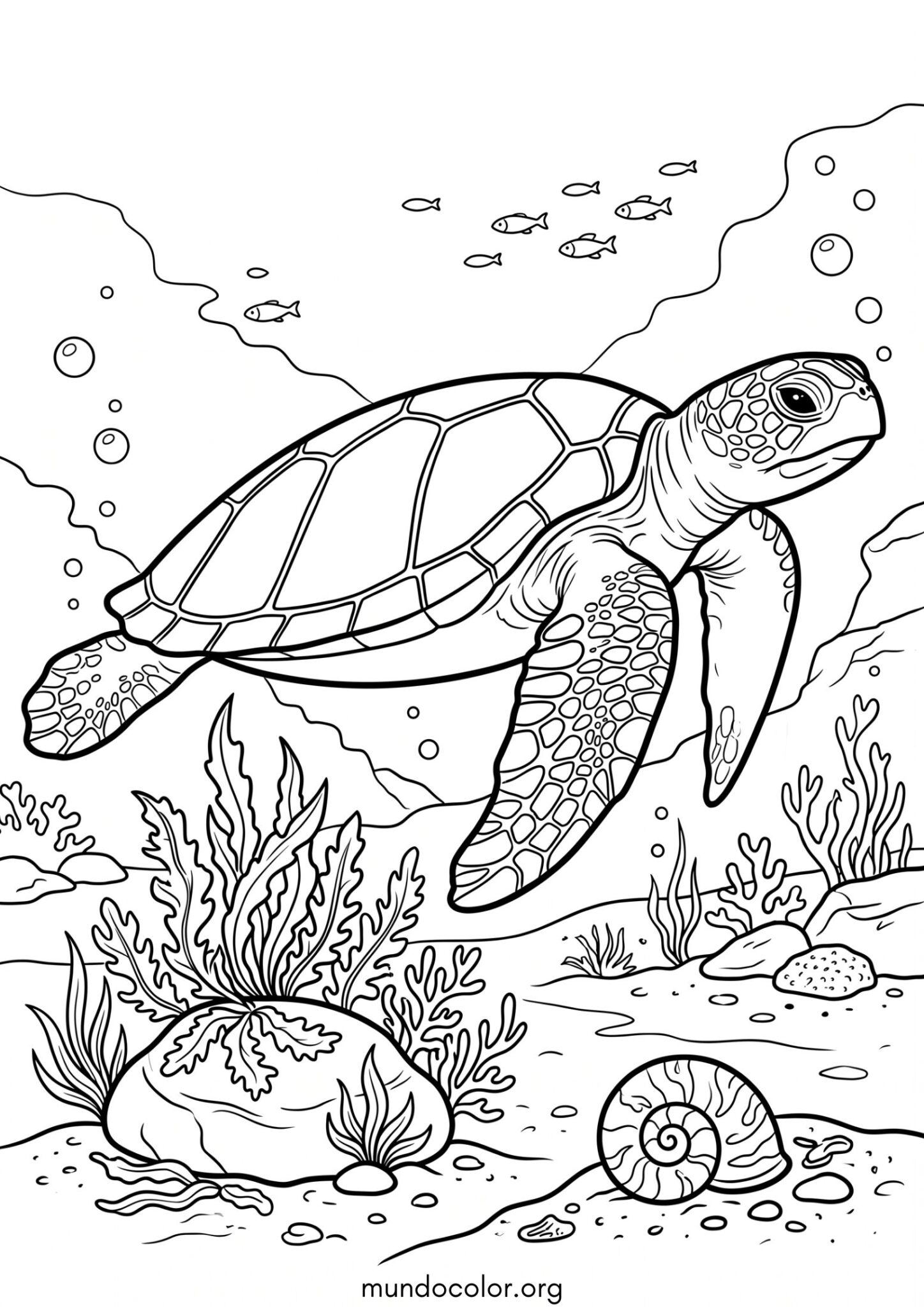 Dibujo de Tortuga marina para imprimir Dibujo de Tortuga marina para colorear