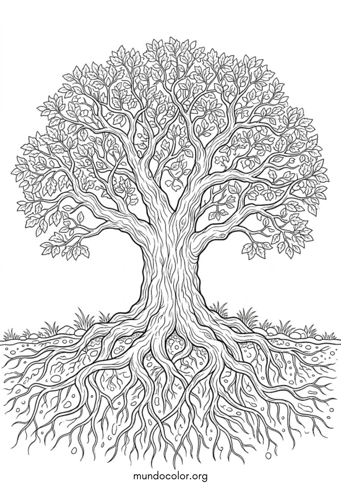 Dibujo de Árbol con raíces para colorear