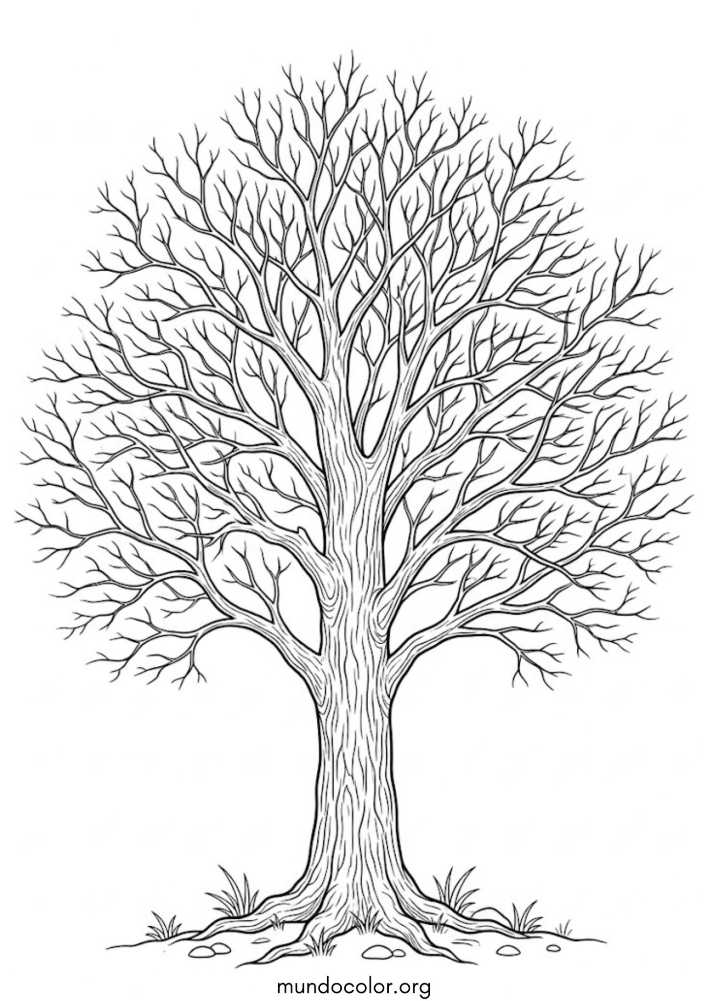 Dibujo de Árbol sin hojas para colorear