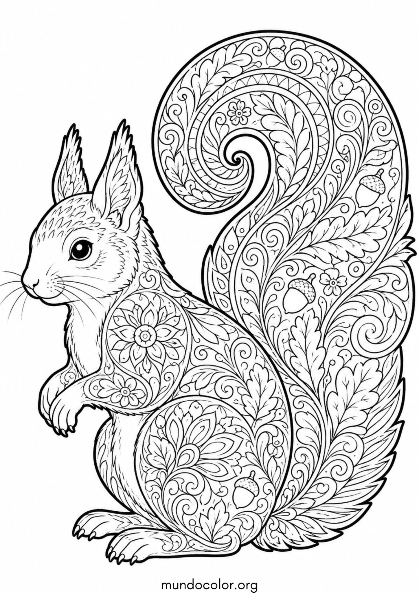 Dibujo de Ardilla antiestrés para adultos para colorear