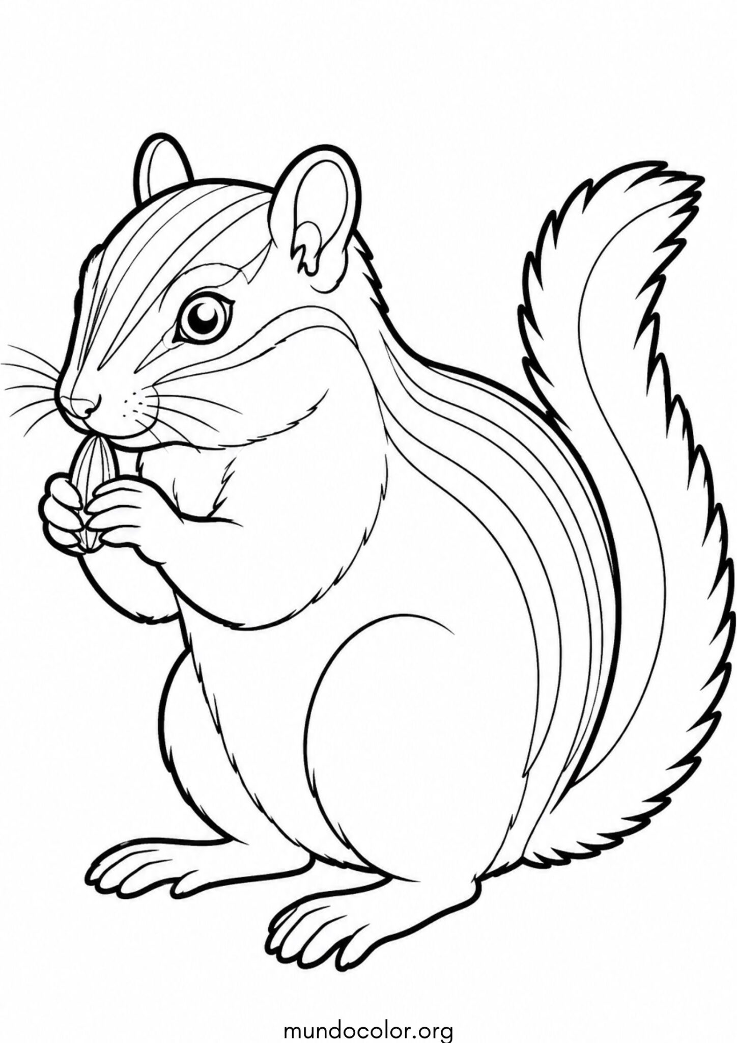 Dibujo de Ardilla listada (Tamias) para colorear