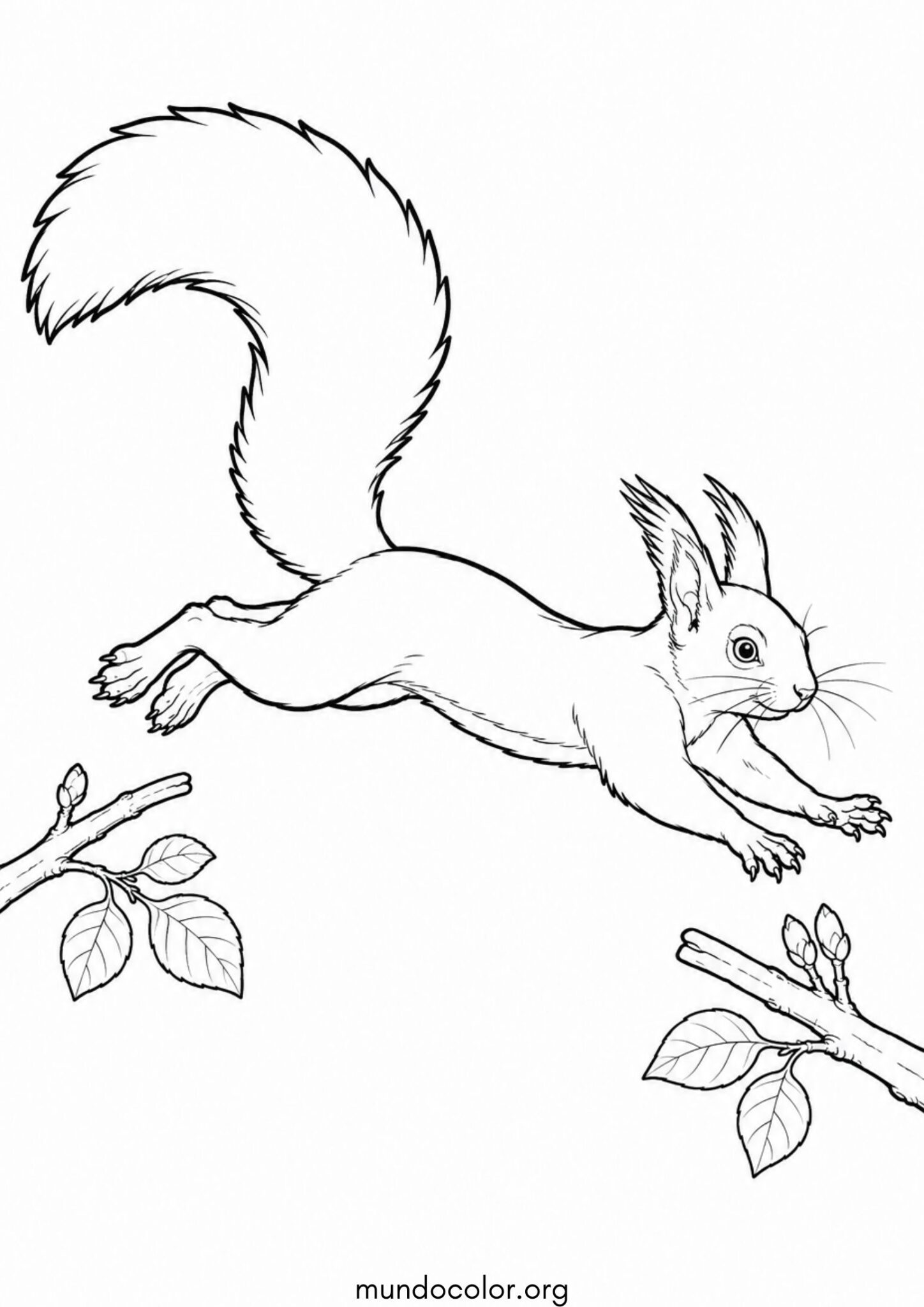 Dibujo de Ardilla saltando de rama en rama para colorear