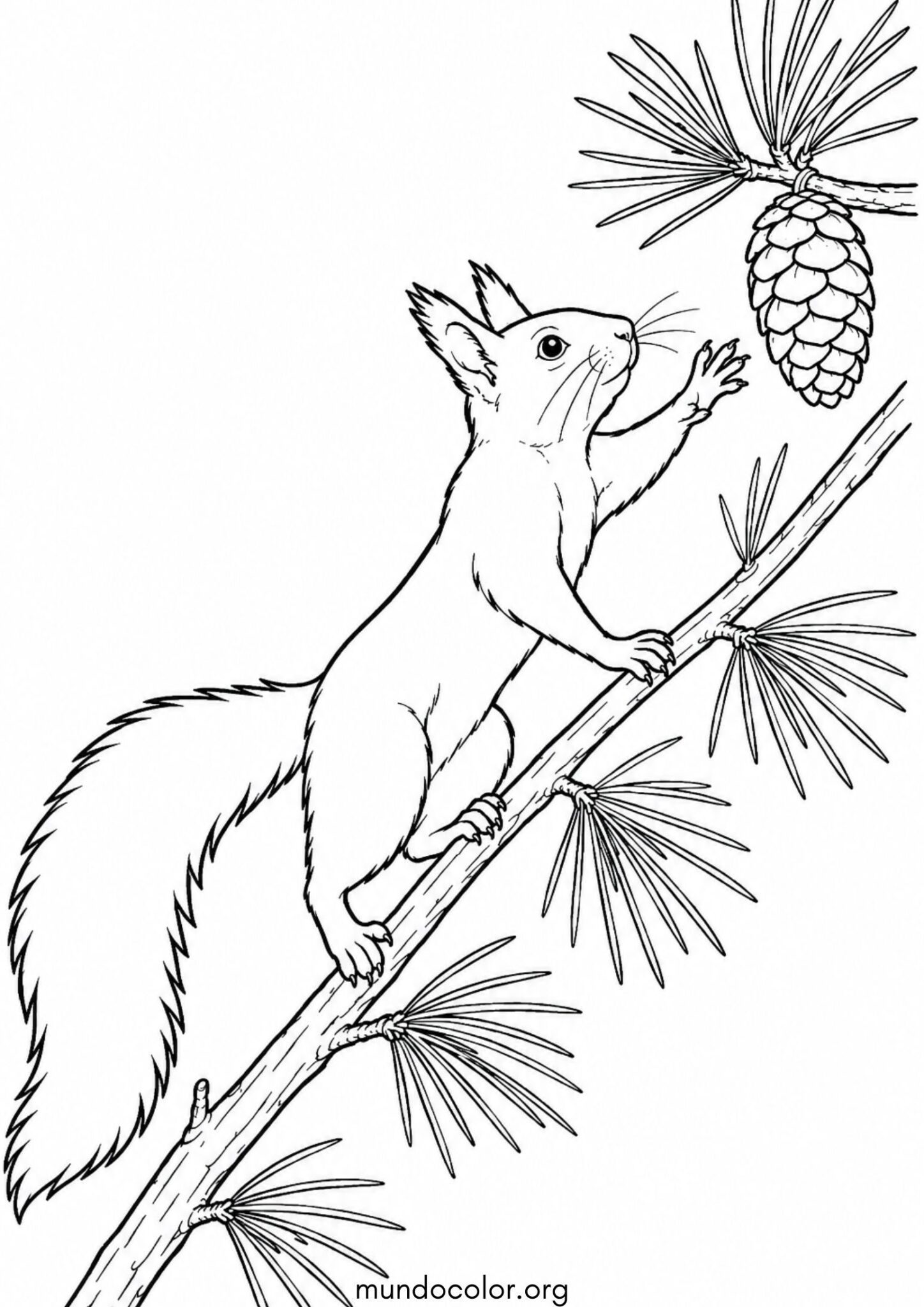Dibujo de Ardillita alcanzando una piña en el pino para colorear