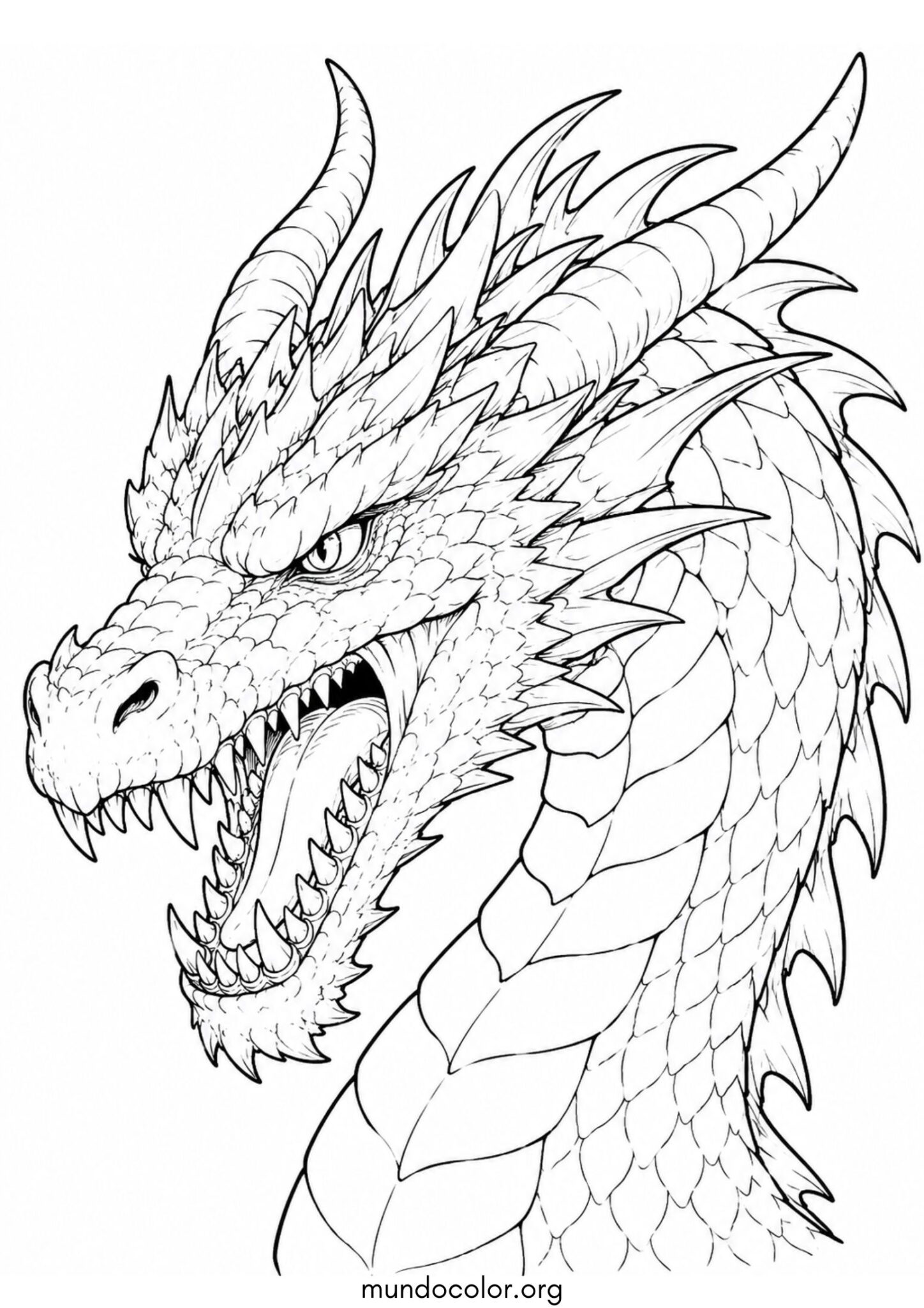 Dibujo de Cabeza de dragón en primer plano para colorear