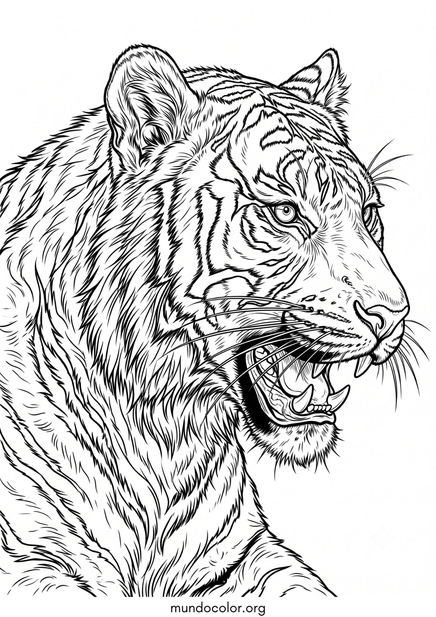 Dibujo de Cara de tigre realista para colorear