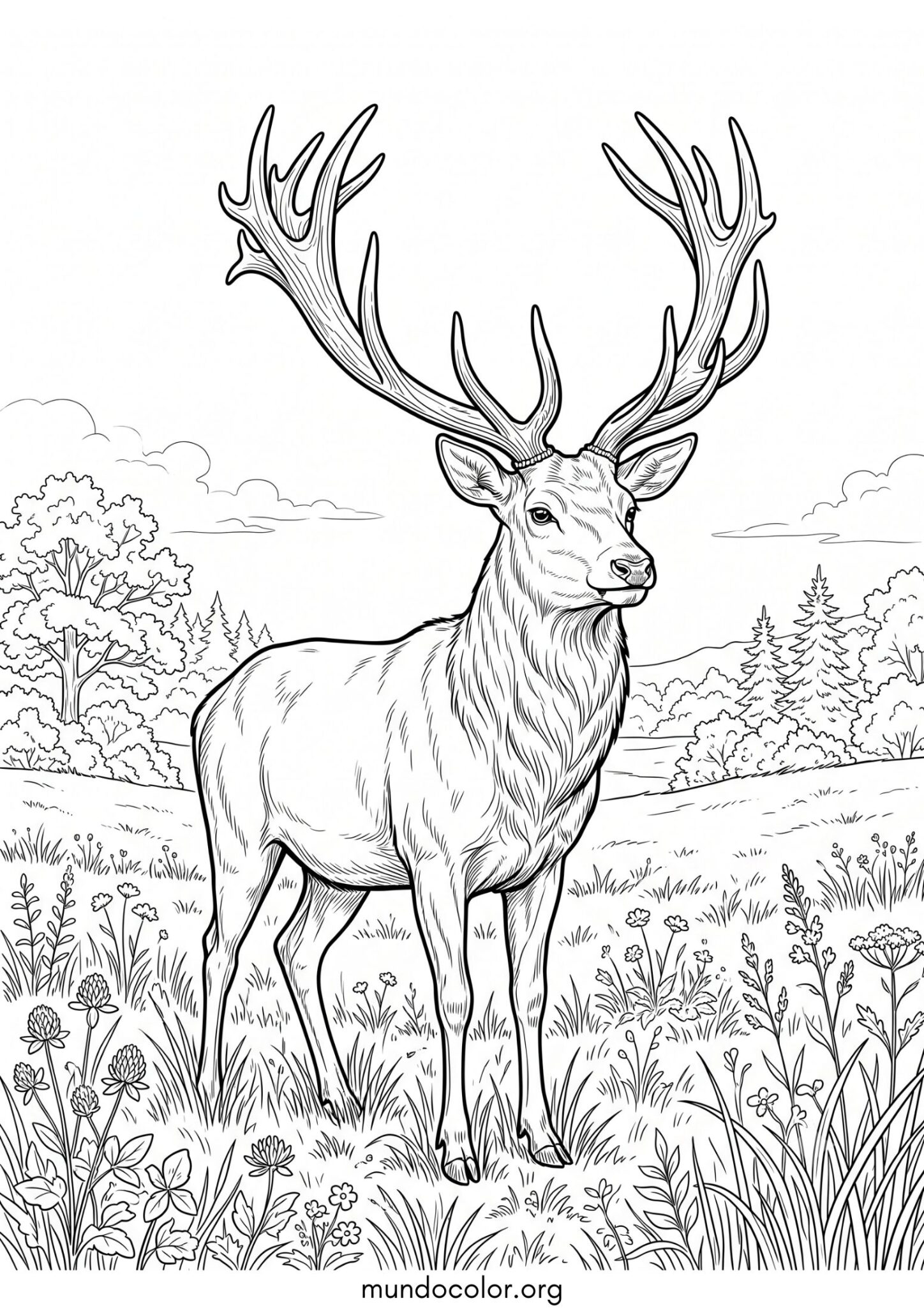 Dibujo de Ciervo con astas grandes y hermosas para imprimir Dibujo de Ciervo con astas grandes y hermosas para colorear