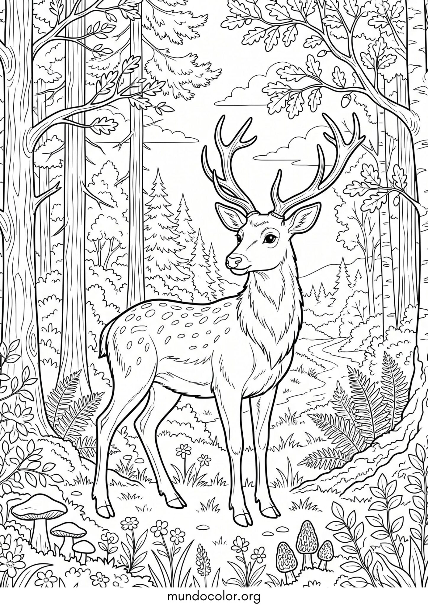 Dibujo de Ciervo realista para imprimir Dibujo de Ciervo realista para colorear