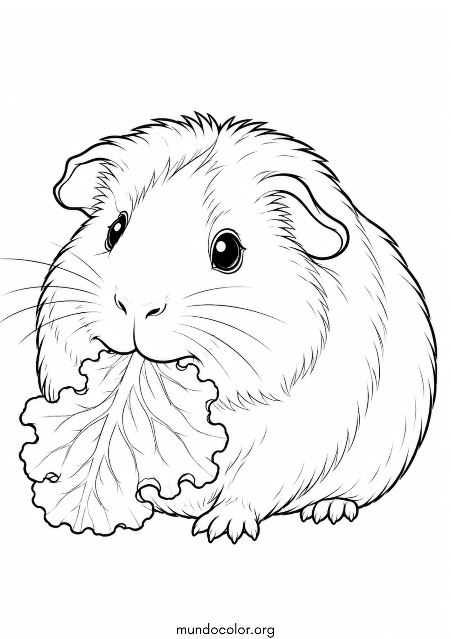 Dibujo de Cobaya comiendo una hoja de lechuga para colorear