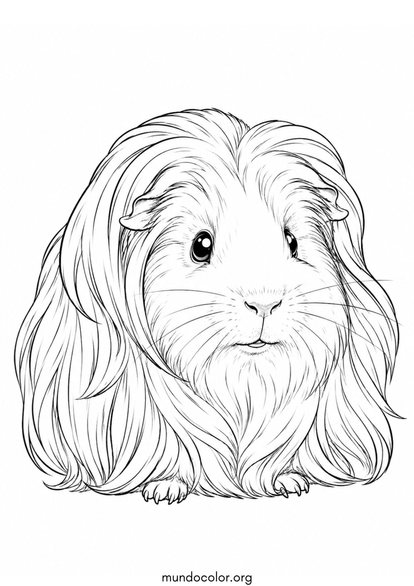 Dibujo de Cobaya de pelo largo (Cobaya Angora) para colorear