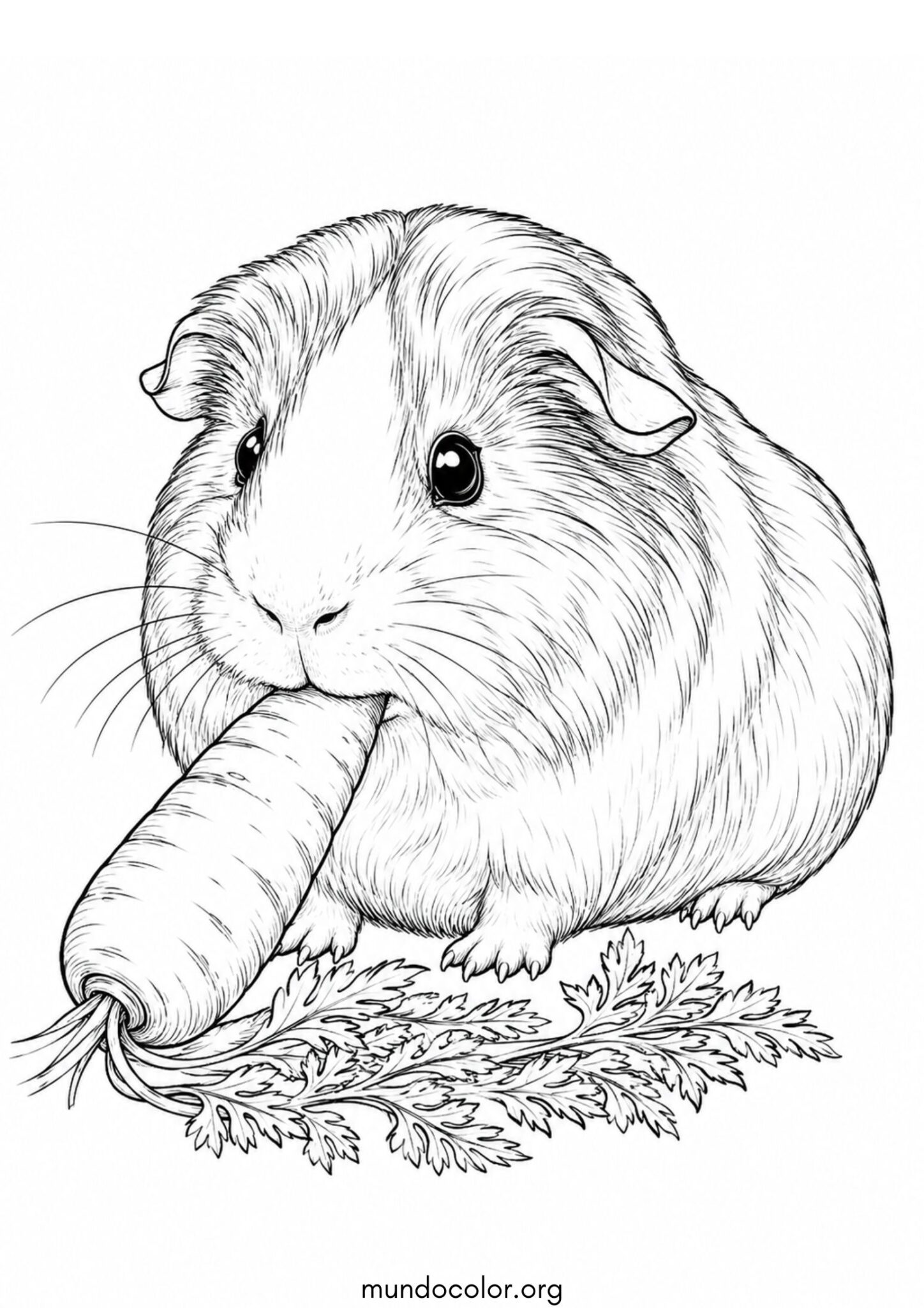 Dibujo de Conejillo de indias comiendo zanahoria para colorear