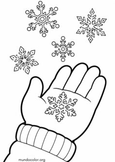 Copos de nieve cayendo en una mano