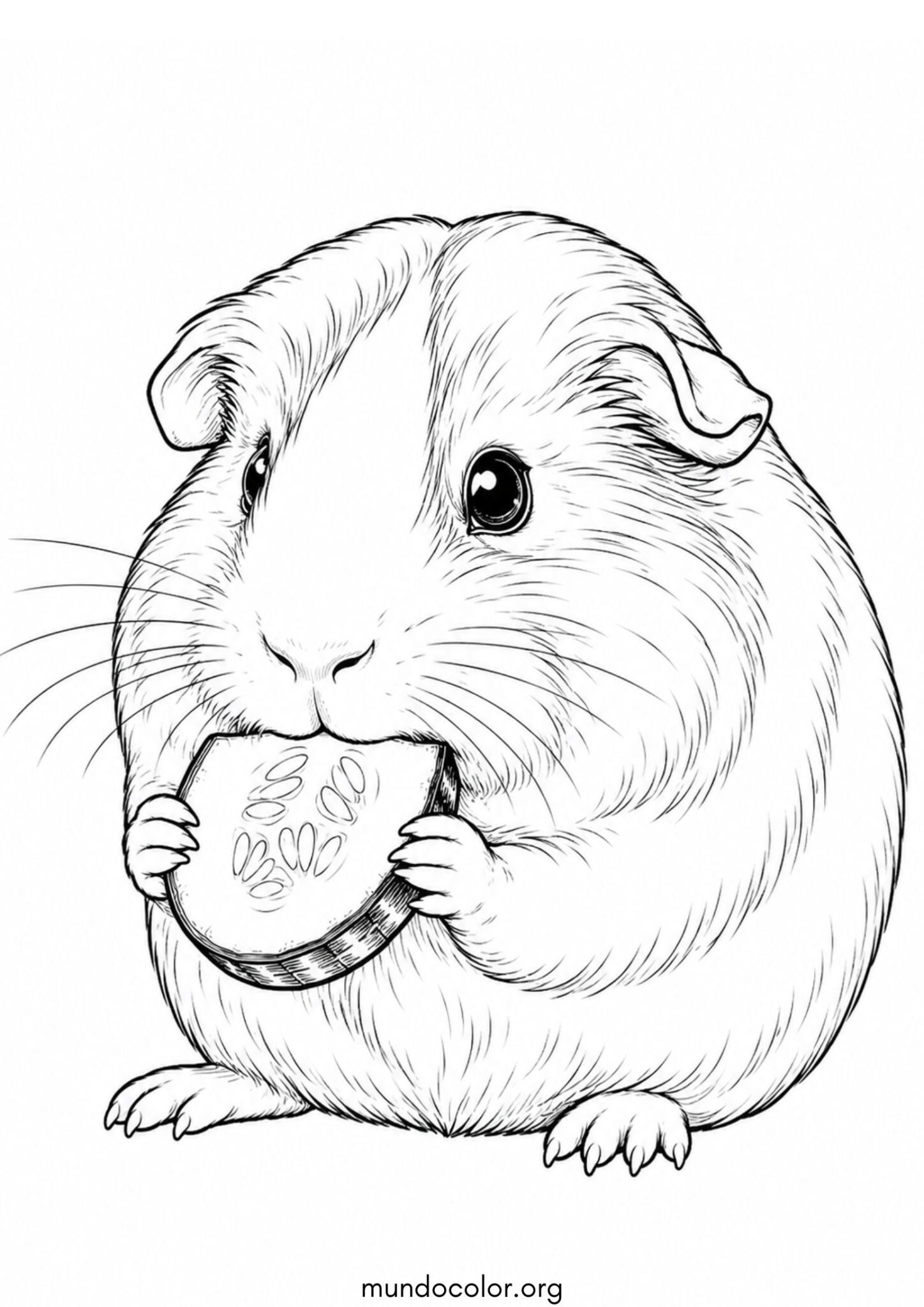 Dibujo de Cuye comiendo rodaja de pepino para colorear