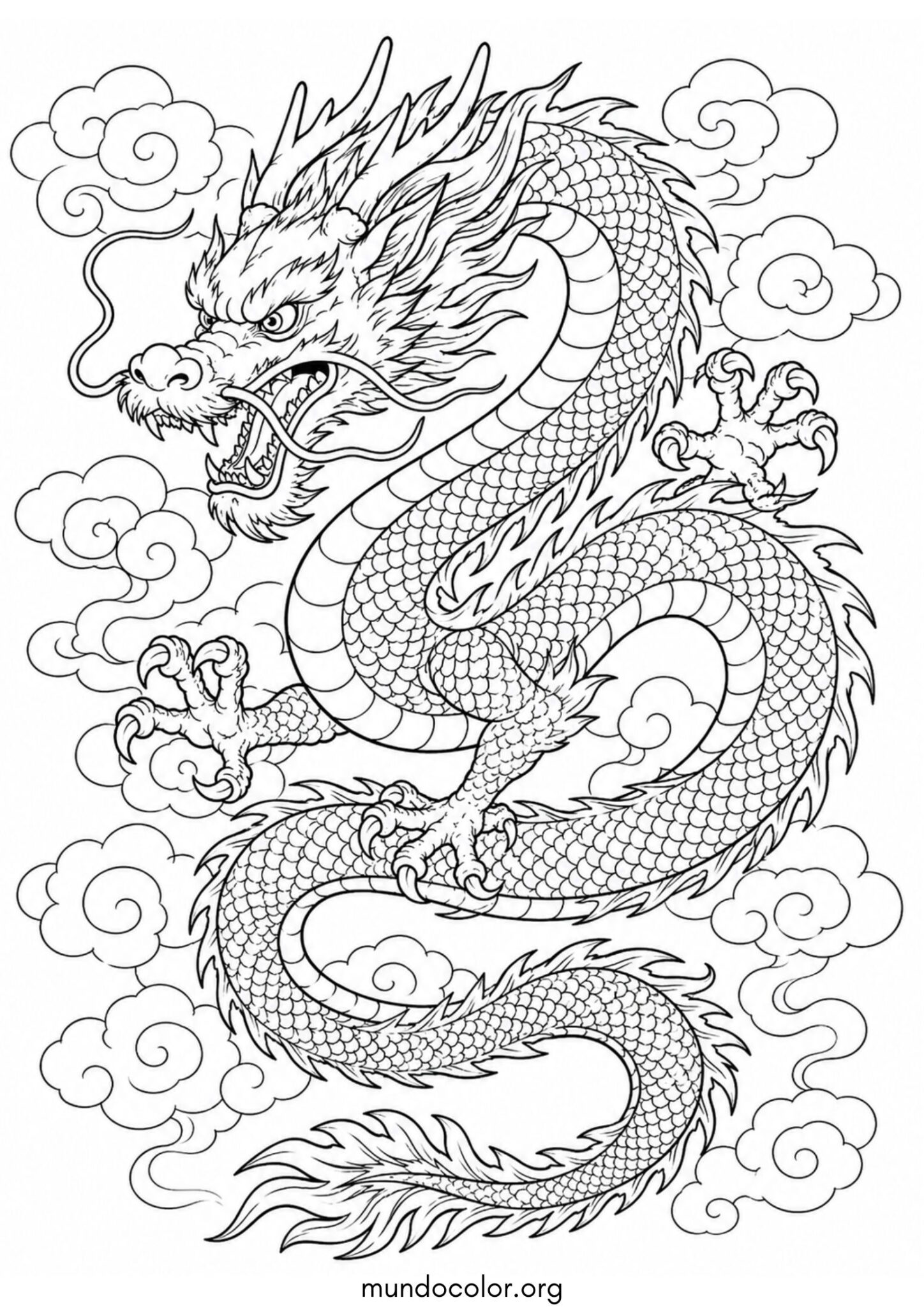 Dibujo de Dragón chino tradicional para colorear