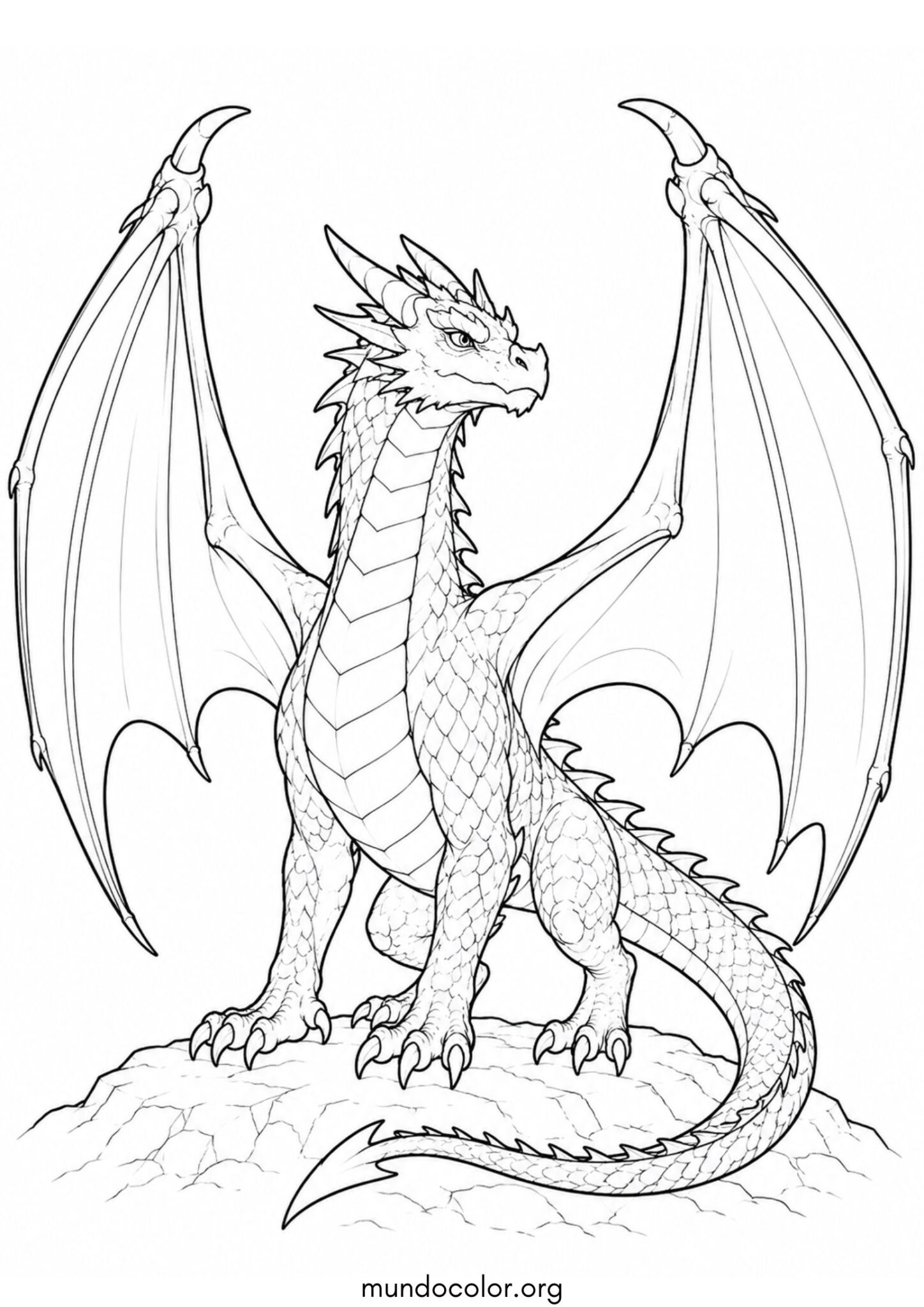 Dibujo de Dragón con las alas extendidas para colorear