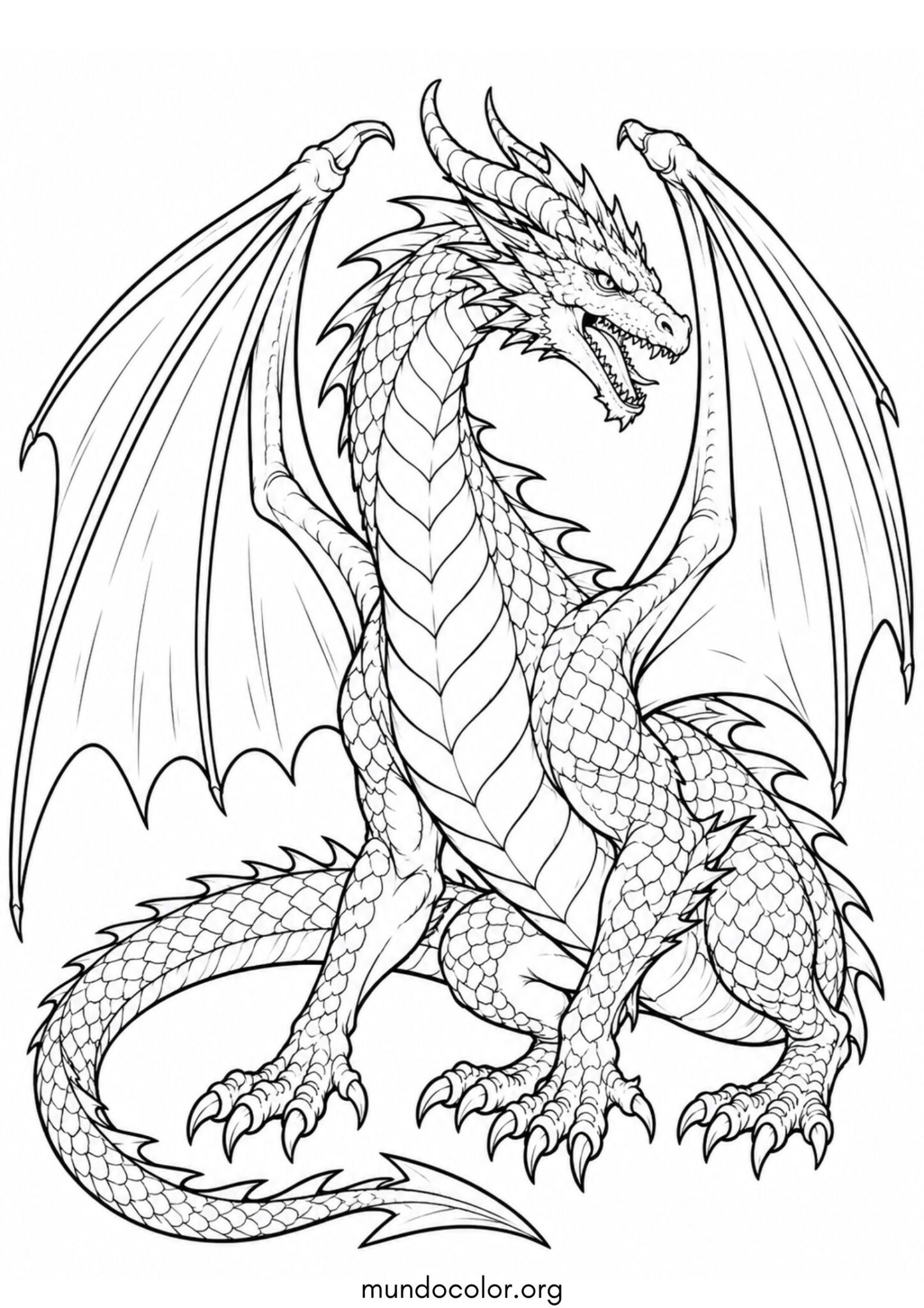 Dibujo de Dragón realista detallado para colorear