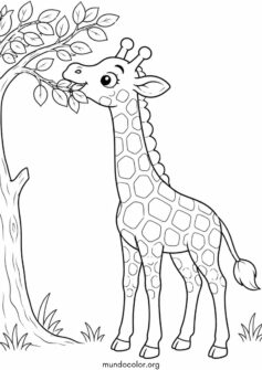 Jirafa comiendo hojas de un árbol
